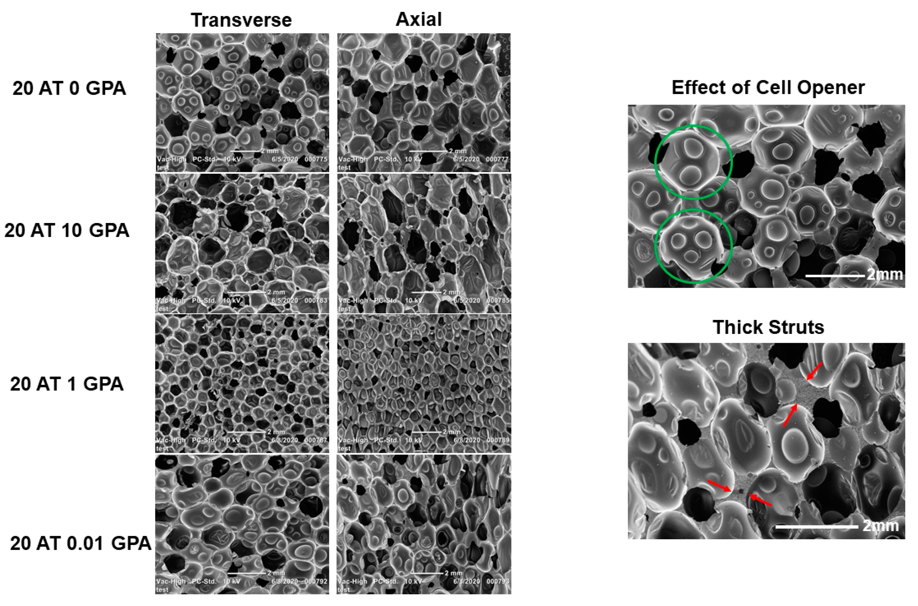 Molecules 25 04660 g002