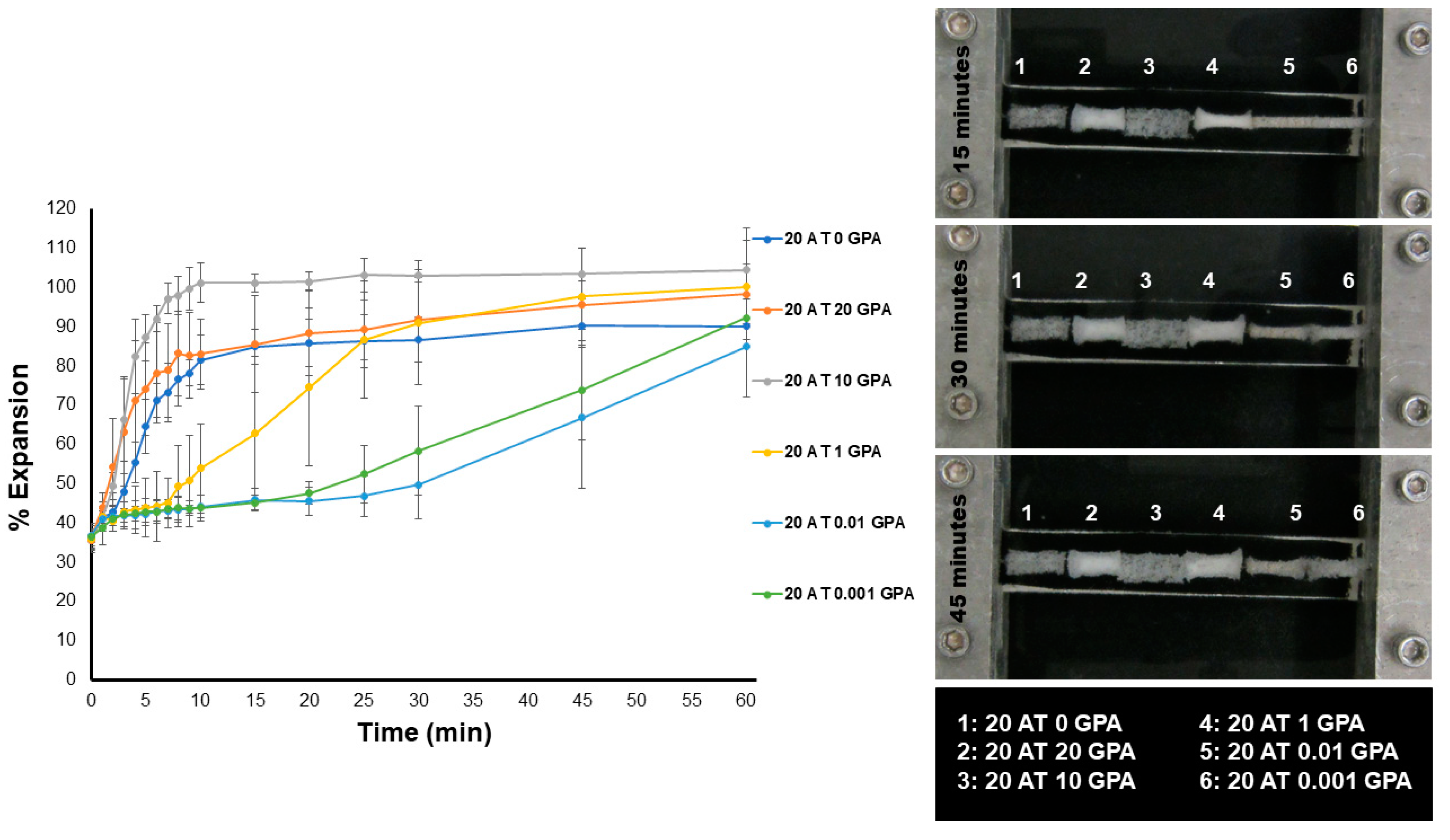 Molecules 25 04660 g004