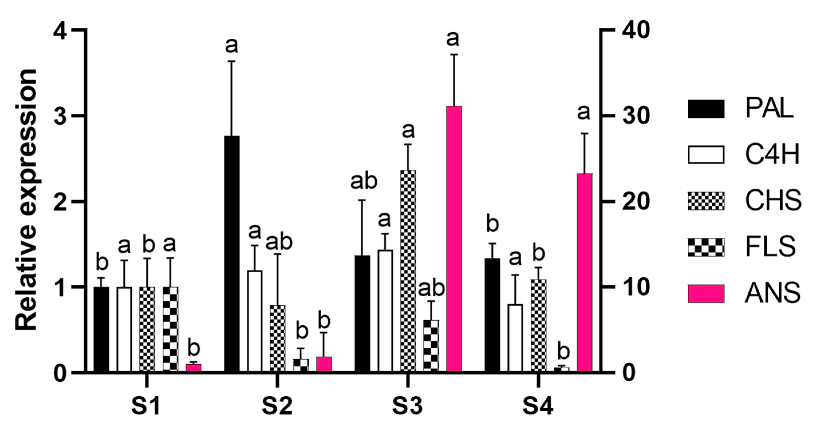 Molecules 25 04664 g004 Molecules 25 04664 g004