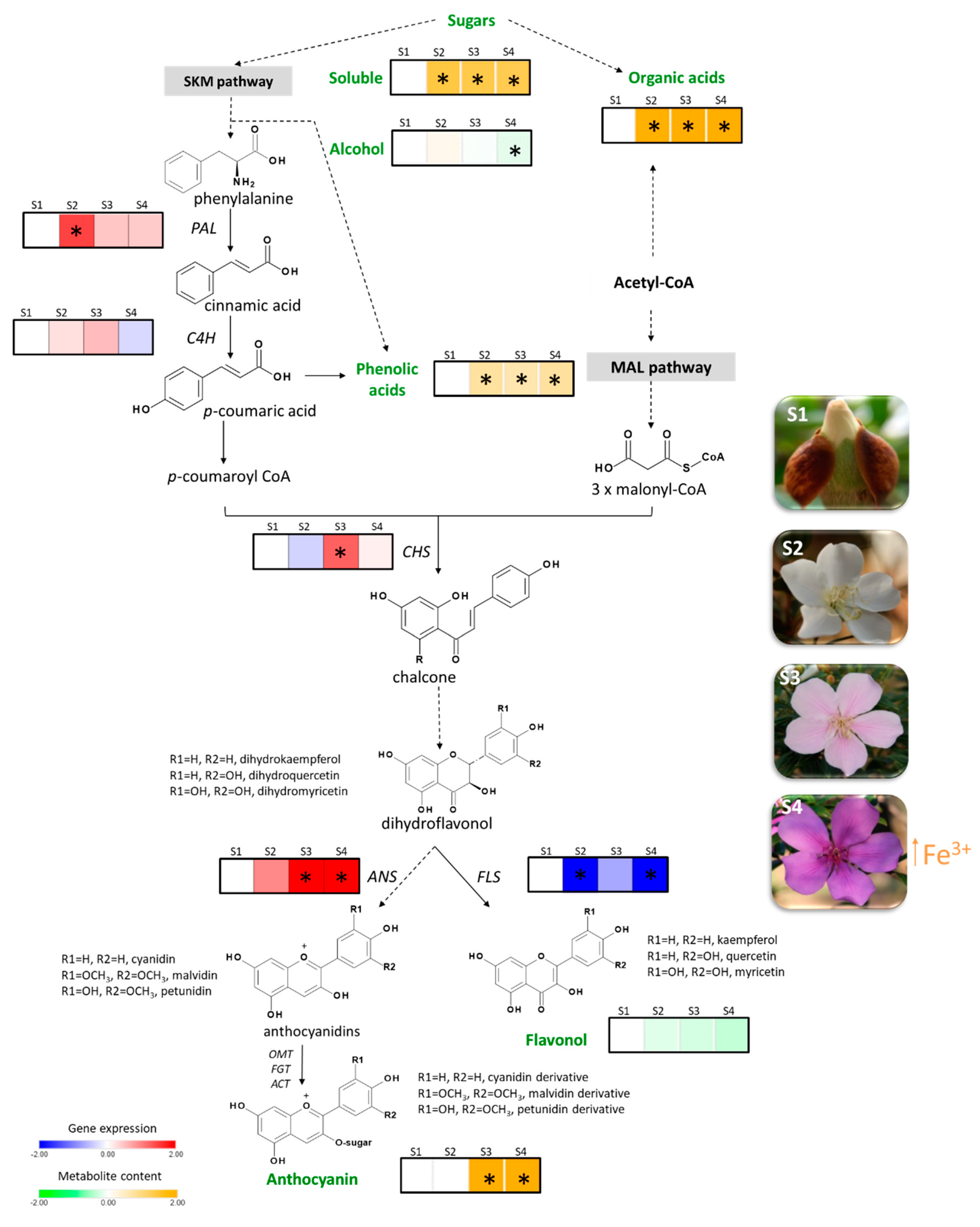 Molecules 25 04664 g005 Molecules 25 04664 g005
