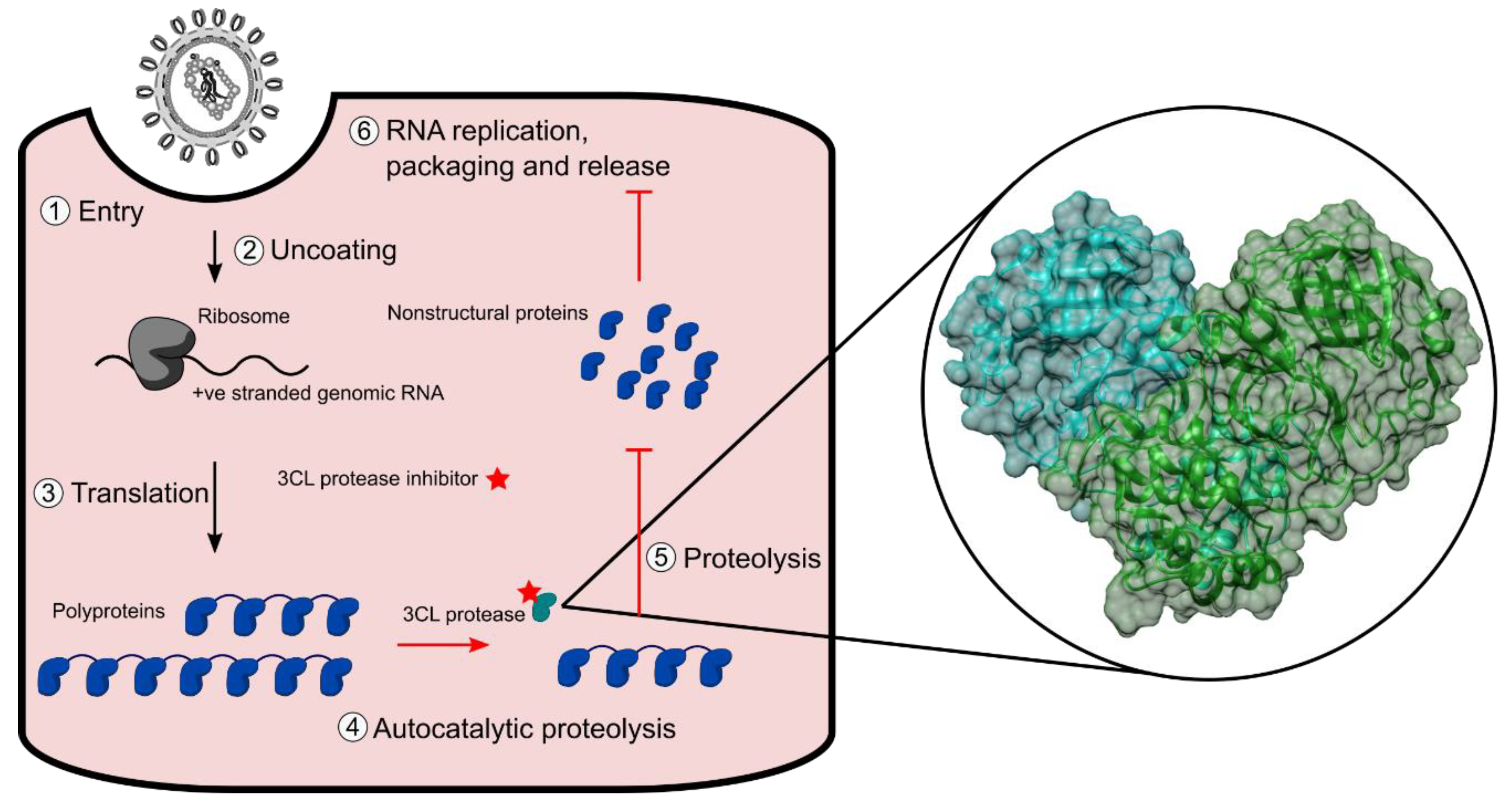 Molecules 25 04666 g001