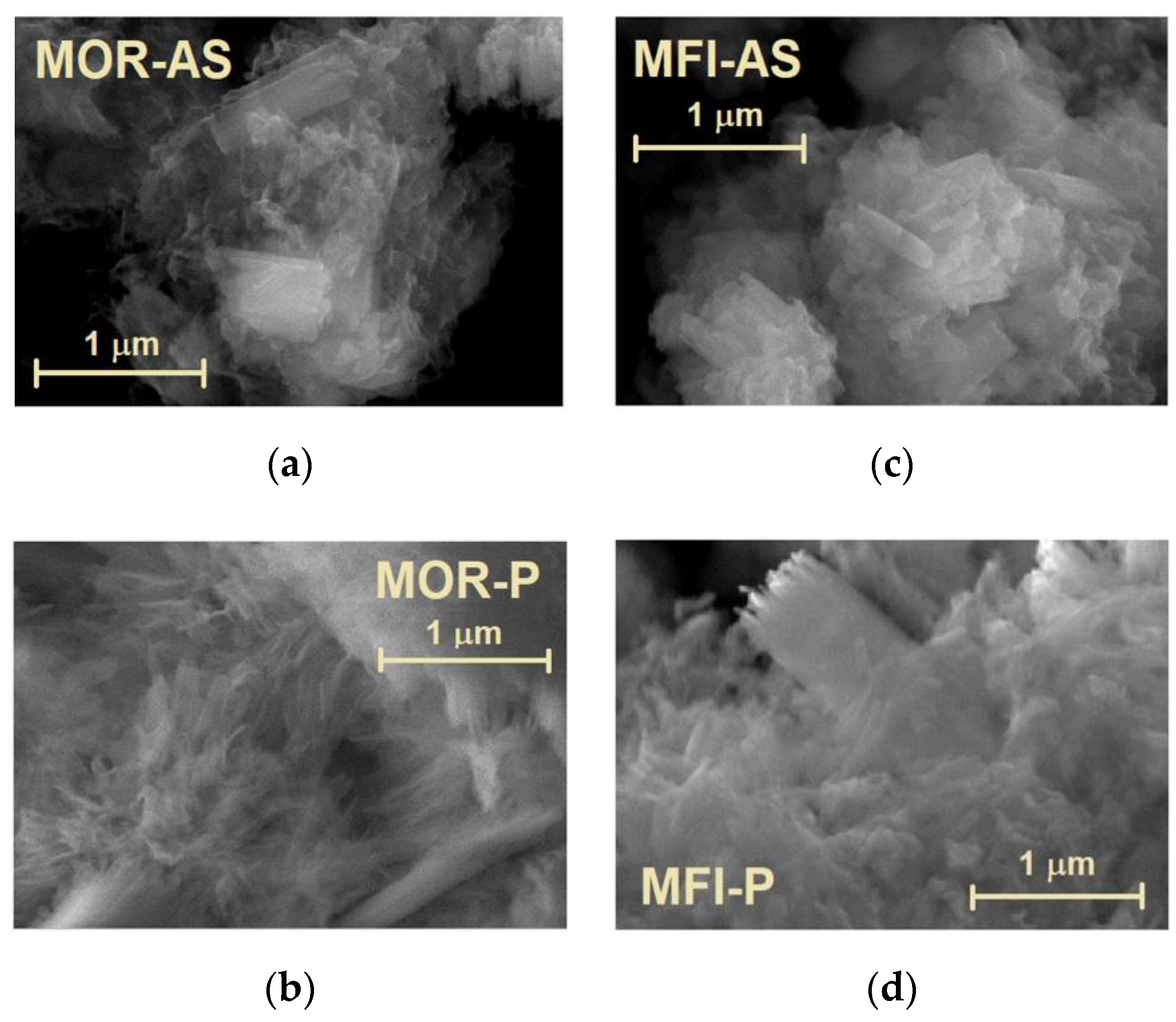 Molecules 25 04678 g003