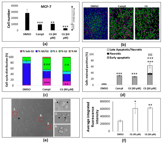 Molecules Free Full Text Cannabinoid Combination Induces Cytoplasmic Vacuolation In Mcf 7 Breast Cancer Cells Html