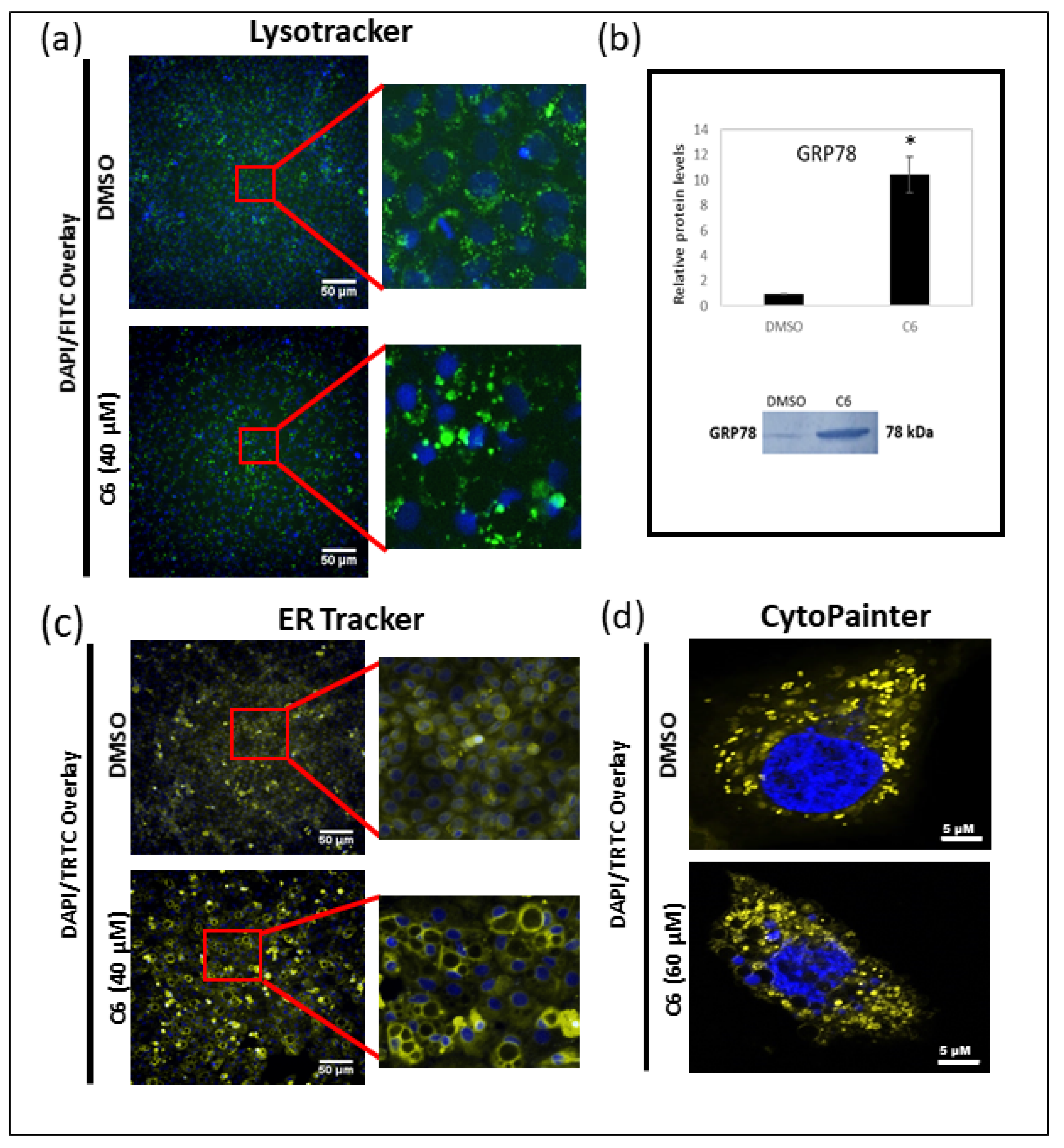 Molecules 25 04682 g009