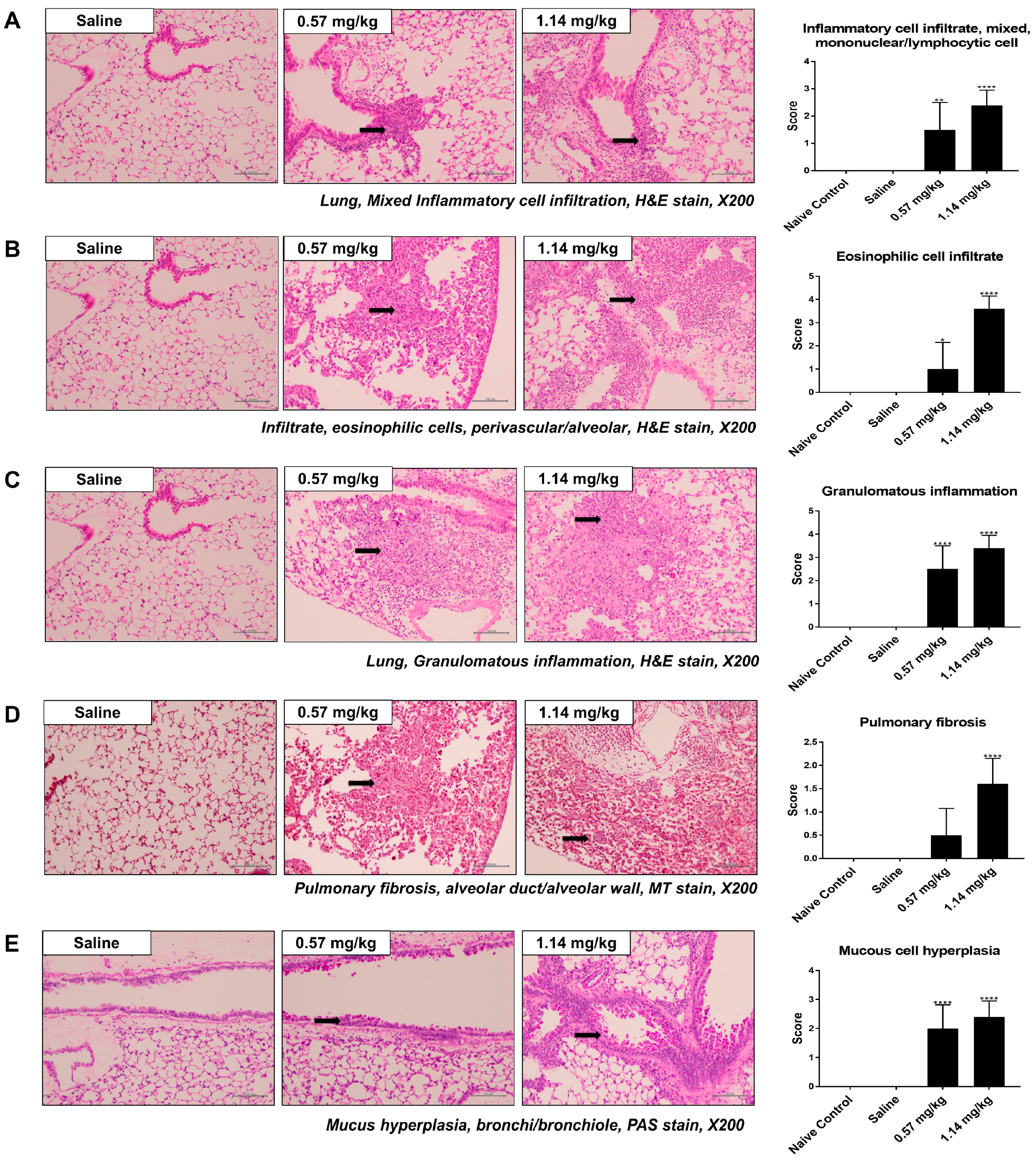 Molecules 25 04684 g002 Molecules 25 04684 g002