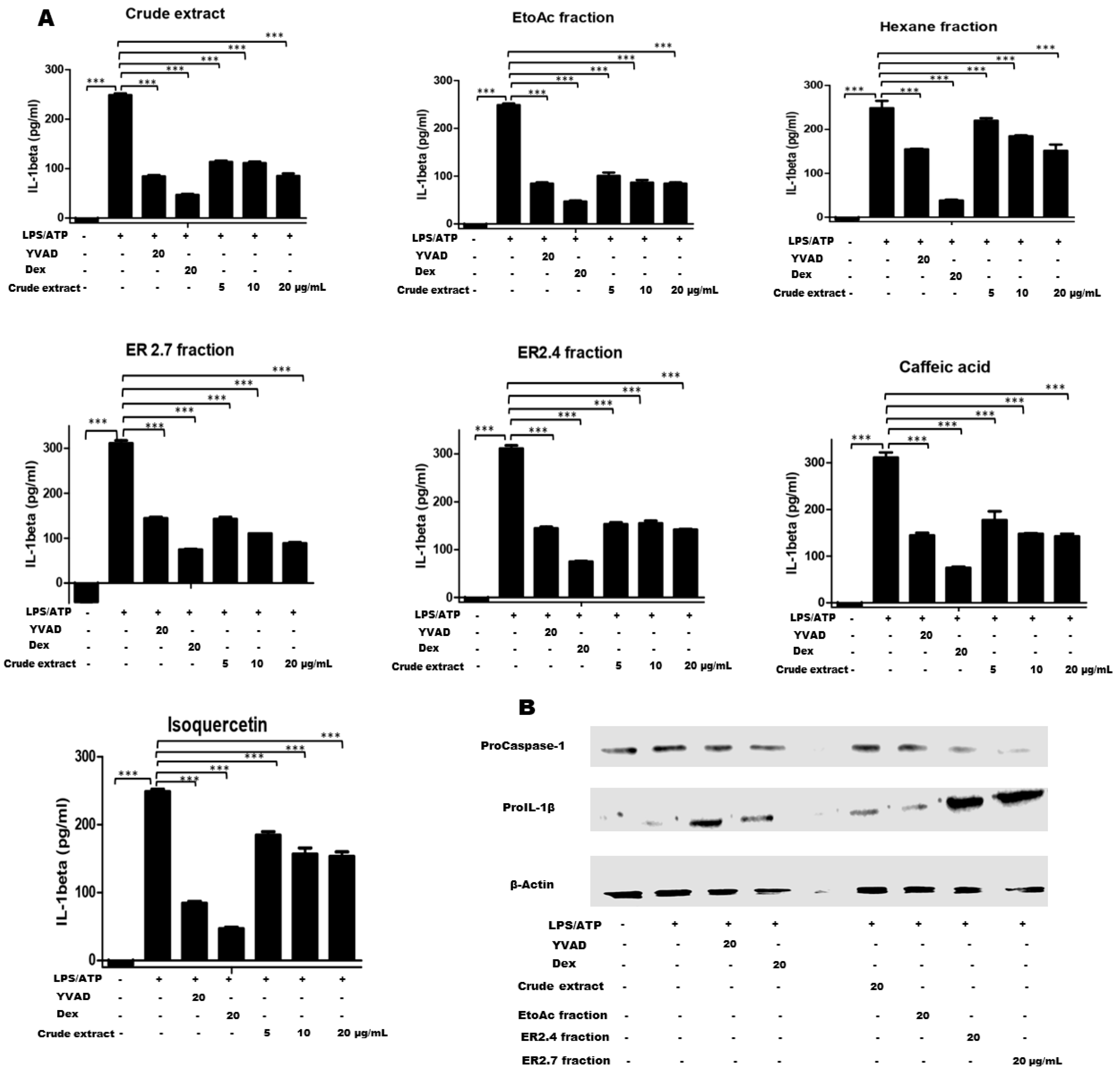 Molecules 25 04693 g003 Molecules 25 04693 g003