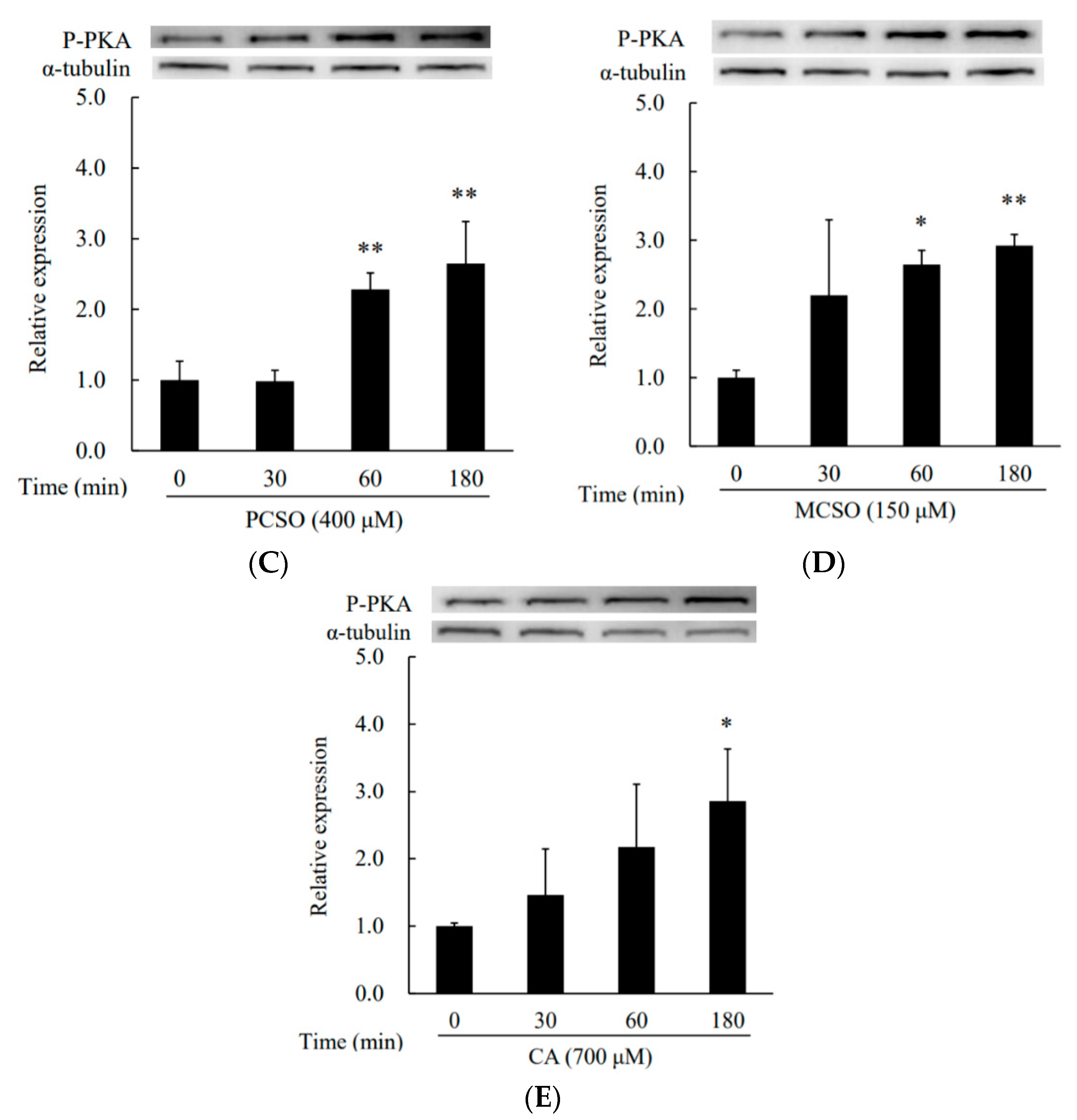 Molecules 25 04694 g004b Molecules 25 04694 g004b