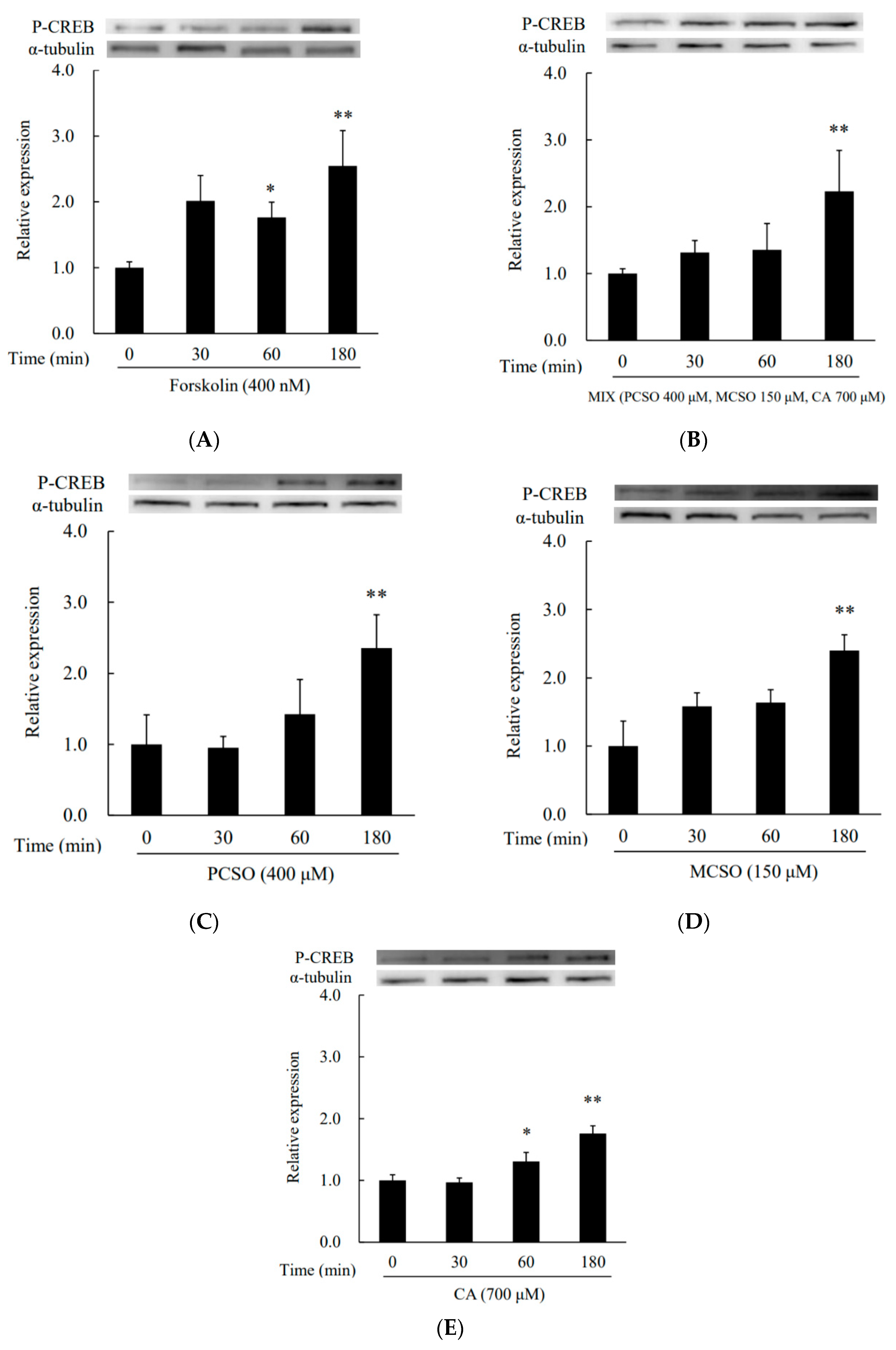 Molecules 25 04694 g006 Molecules 25 04694 g006