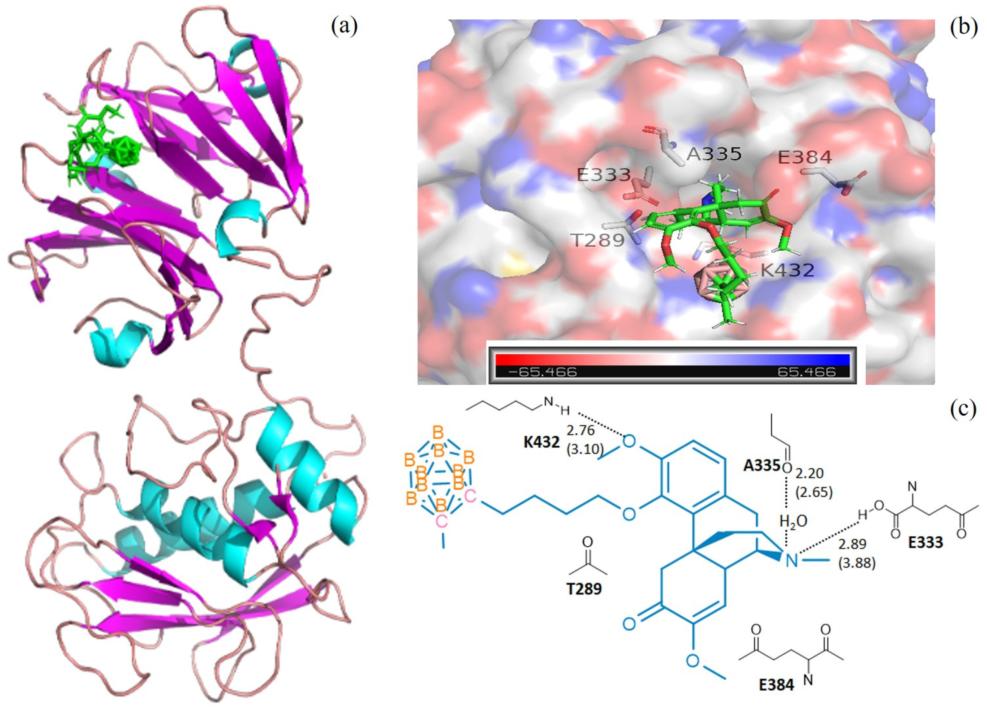Molecules 25 04697 g001 Molecules 25 04697 g001