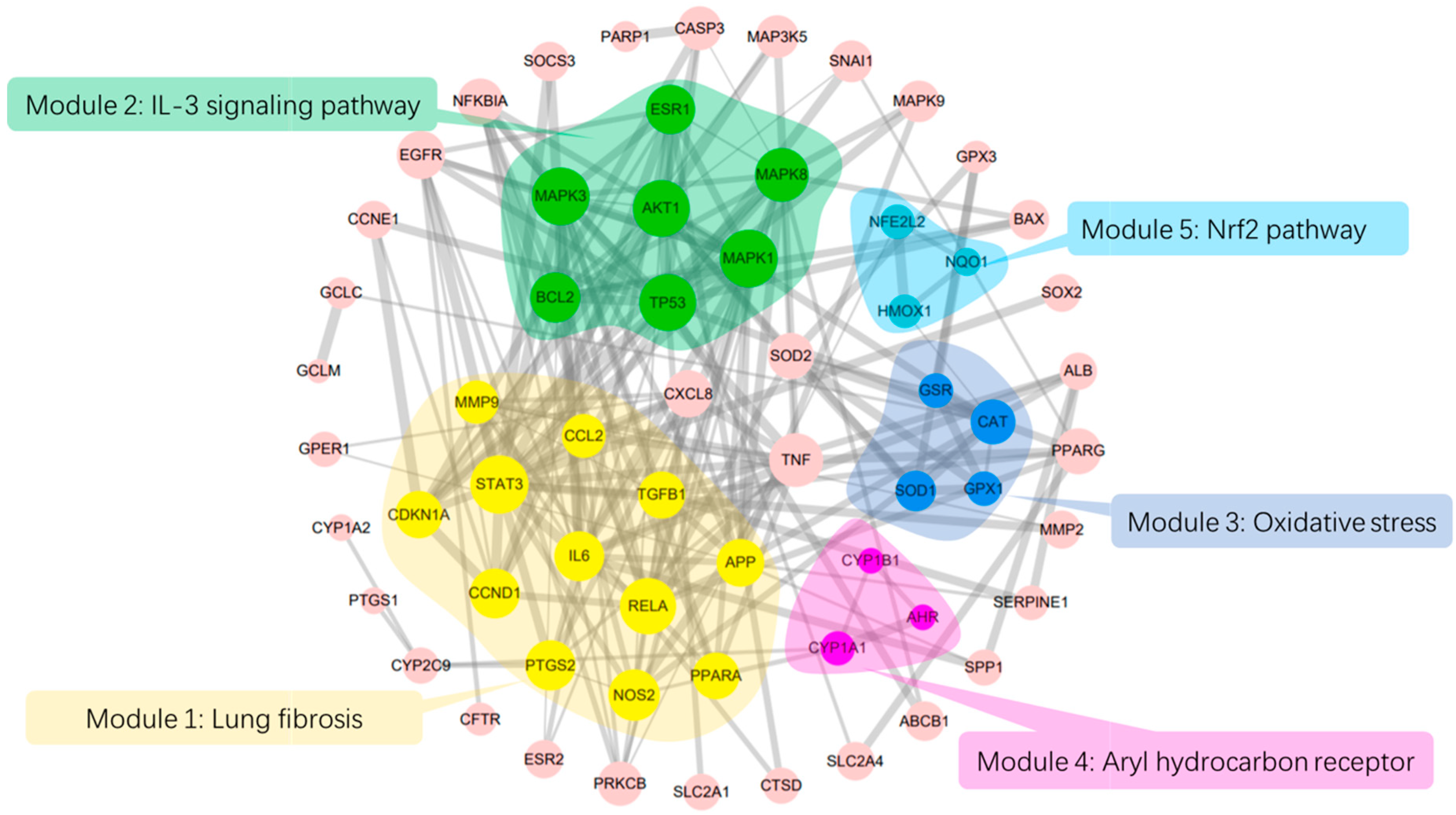 Molecules 25 04704 g002 Molecules 25 04704 g002