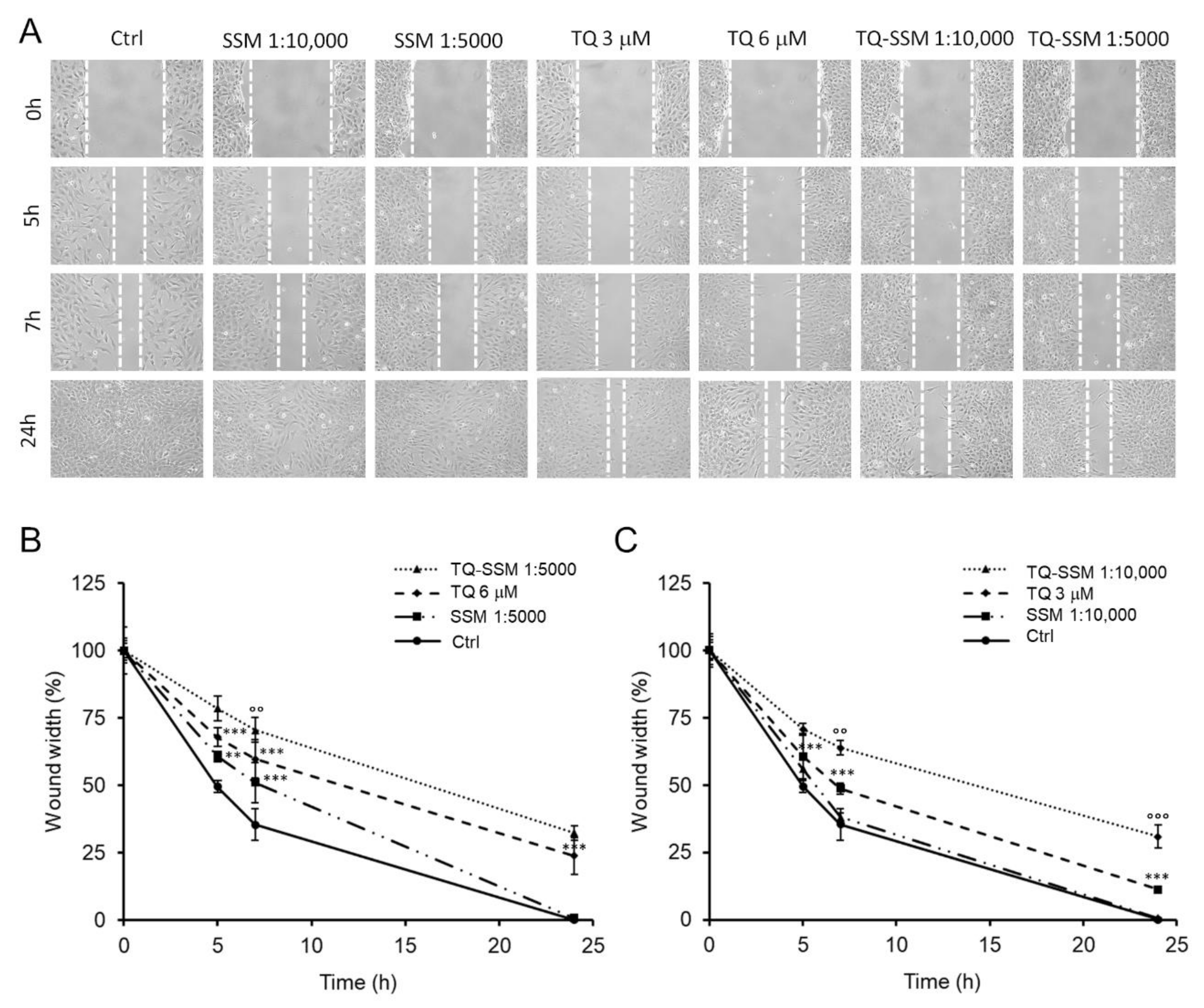 Molecules 25 04707 g008