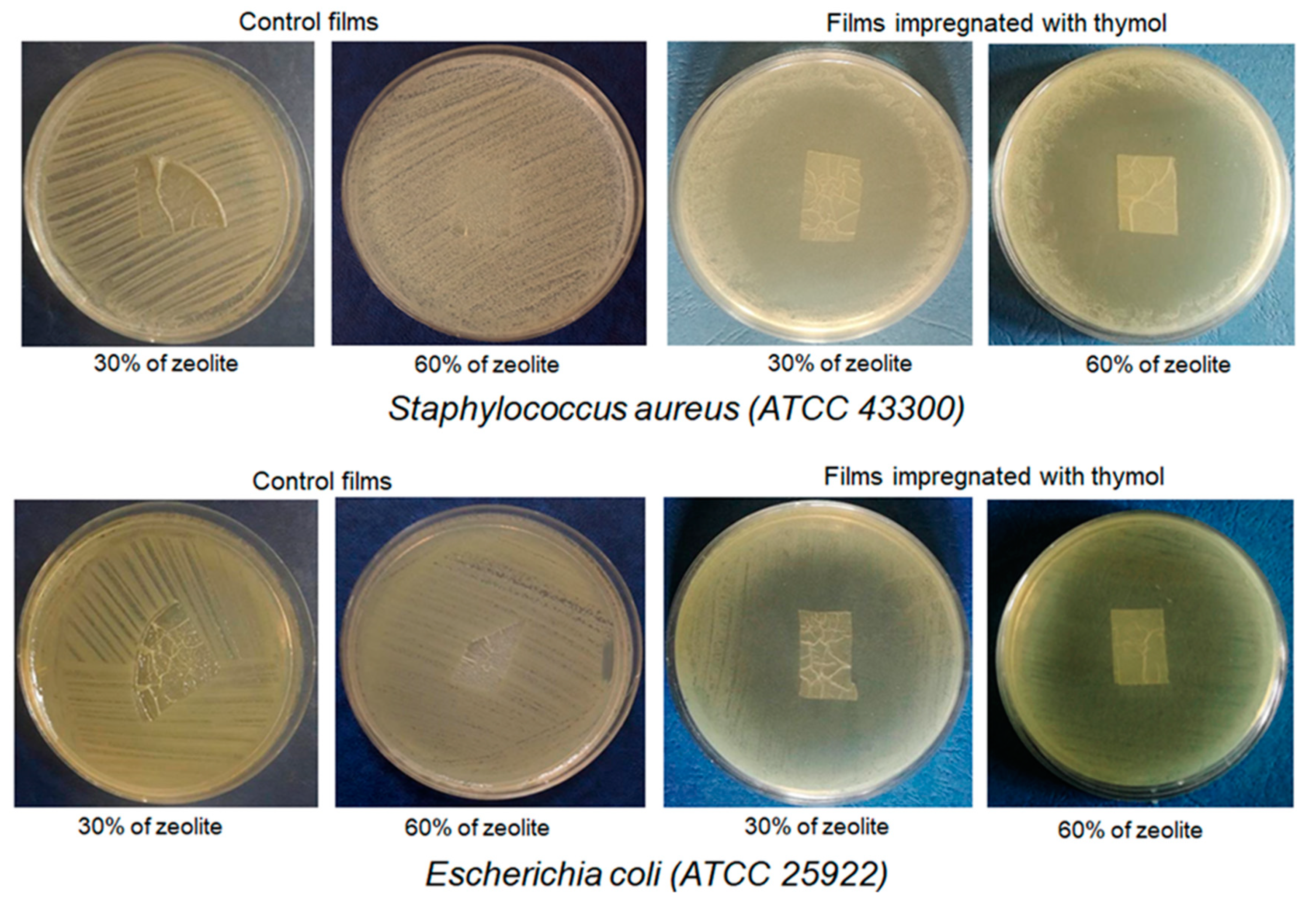 Molecules 25 04717 g007 Molecules 25 04717 g007