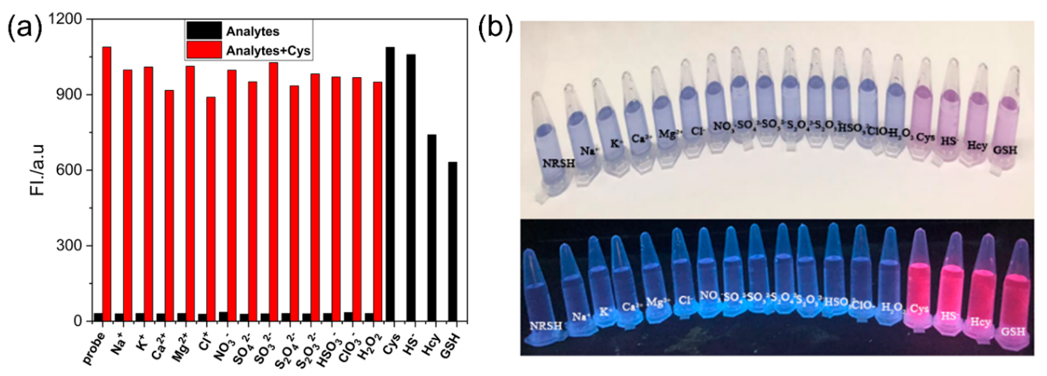 Molecules 25 04718 g003 Molecules 25 04718 g003