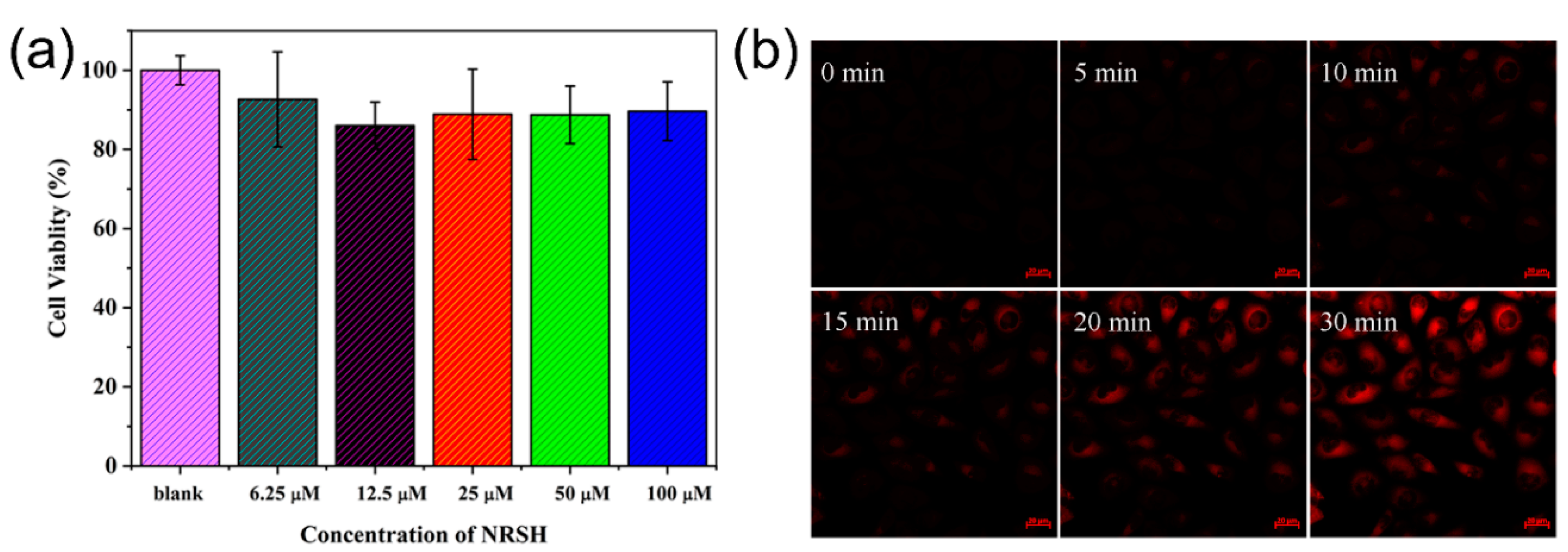 Molecules 25 04718 g005 Molecules 25 04718 g005