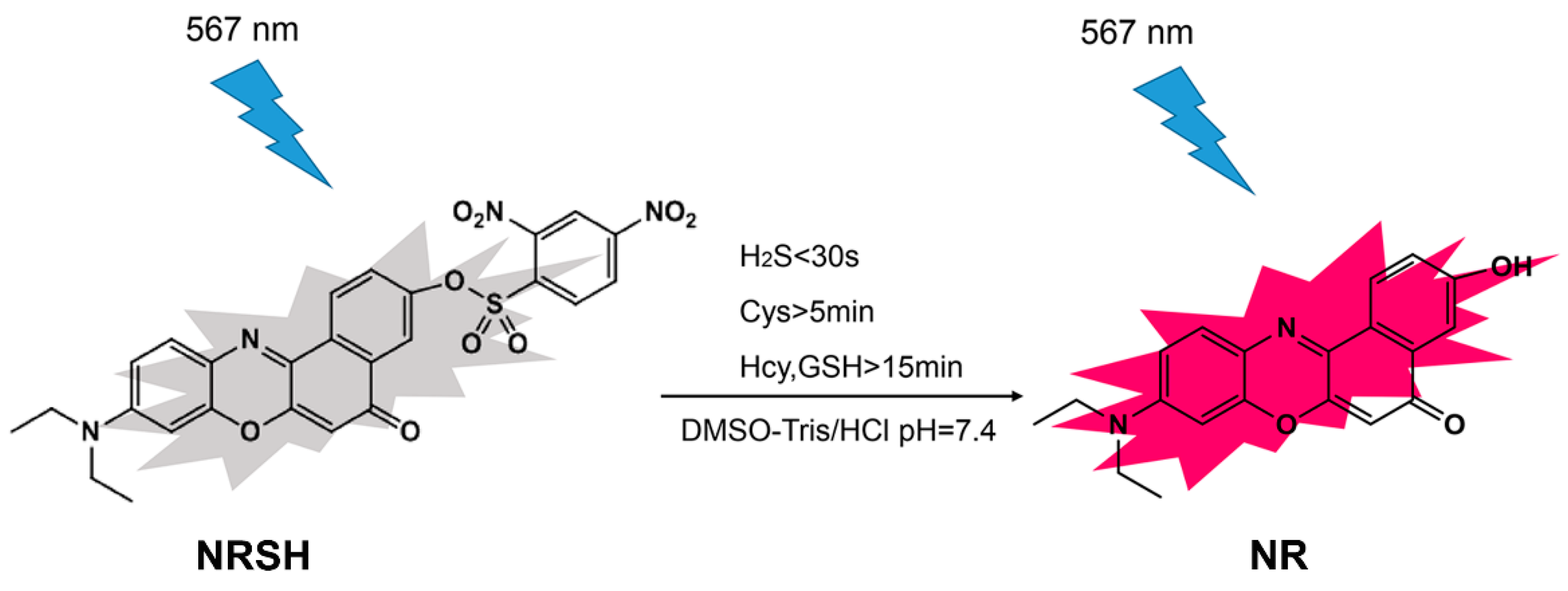 Molecules 25 04718 sch001 Molecules 25 04718 sch001