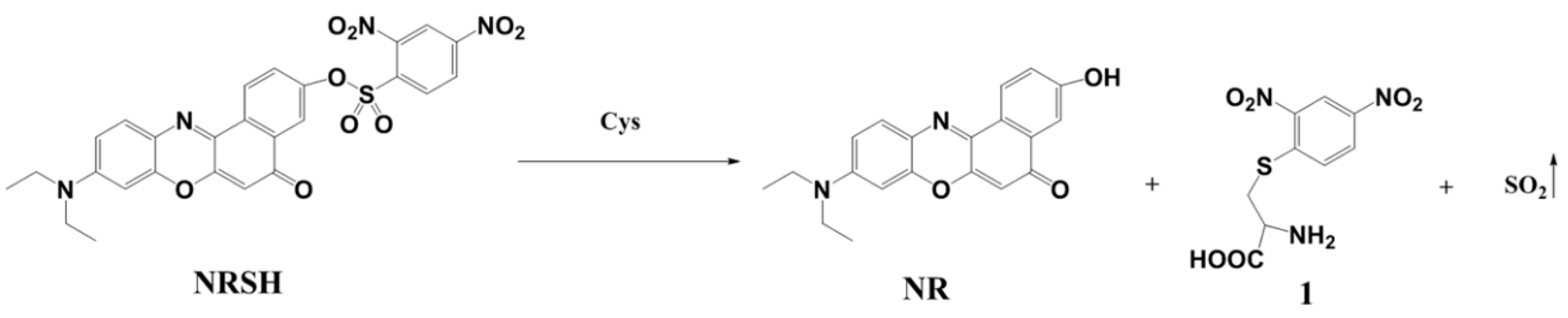 Molecules 25 04718 sch002 Molecules 25 04718 sch002