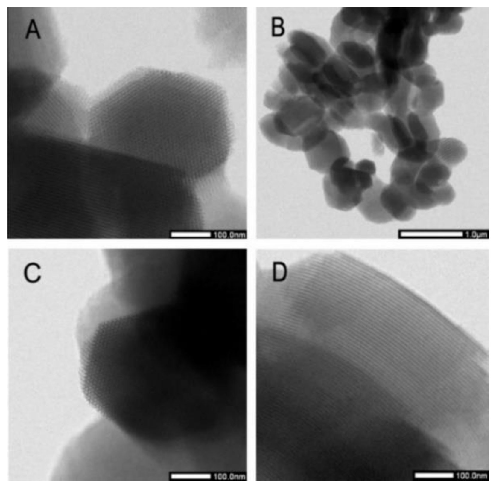 Molecules 25 04722 g004