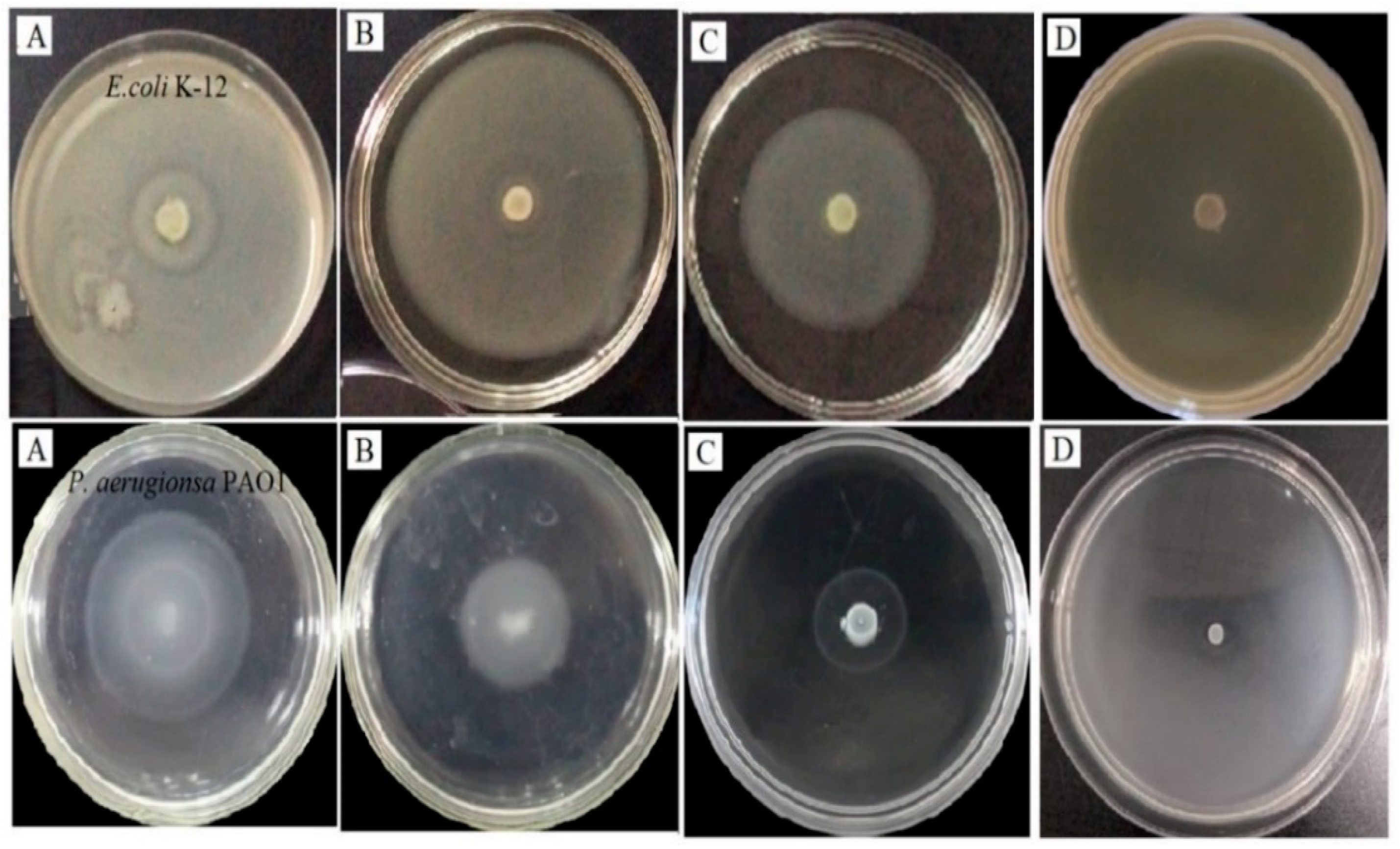 Molecules 25 04727 g003 Molecules 25 04727 g003