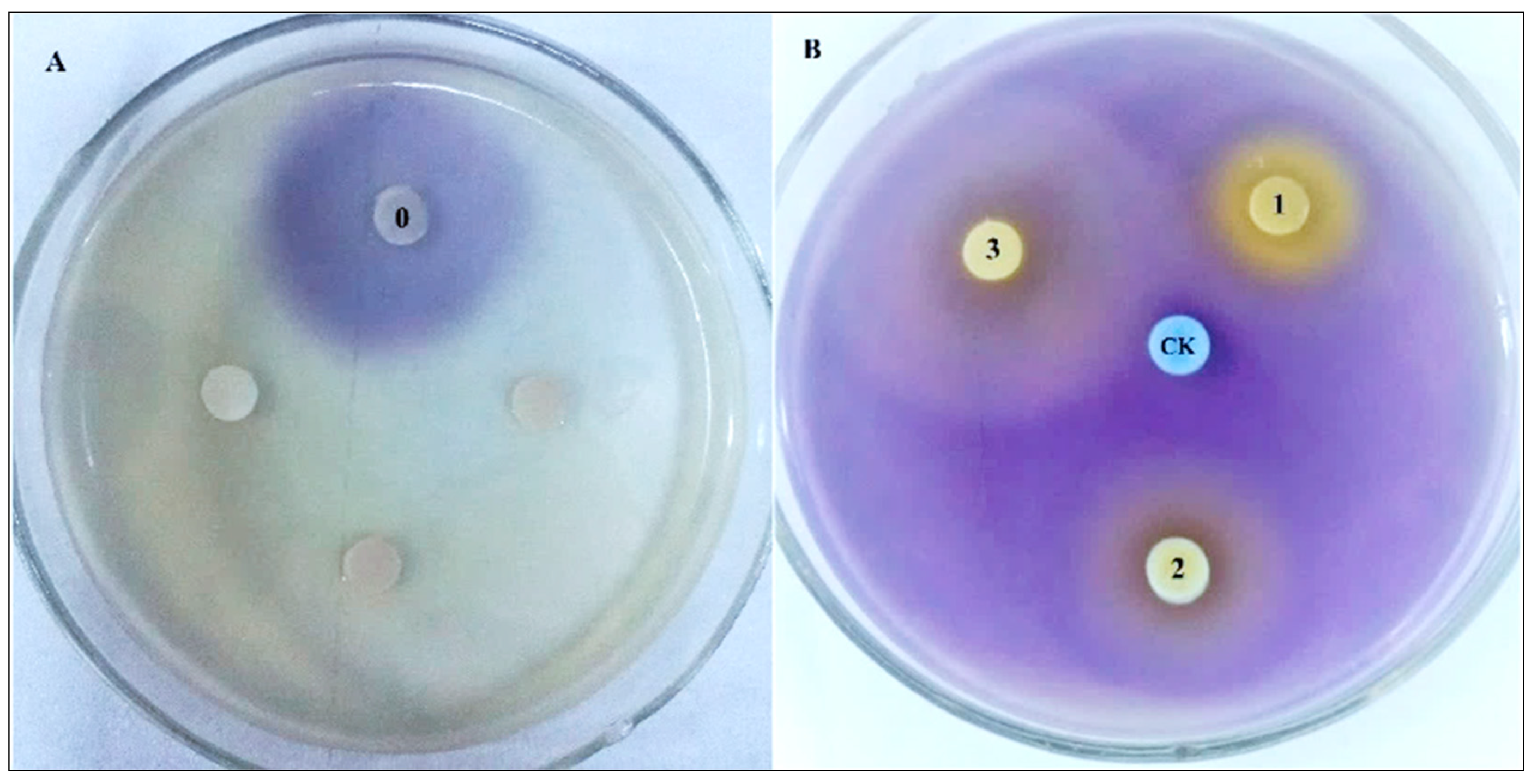 Molecules 25 04727 g007 Molecules 25 04727 g007