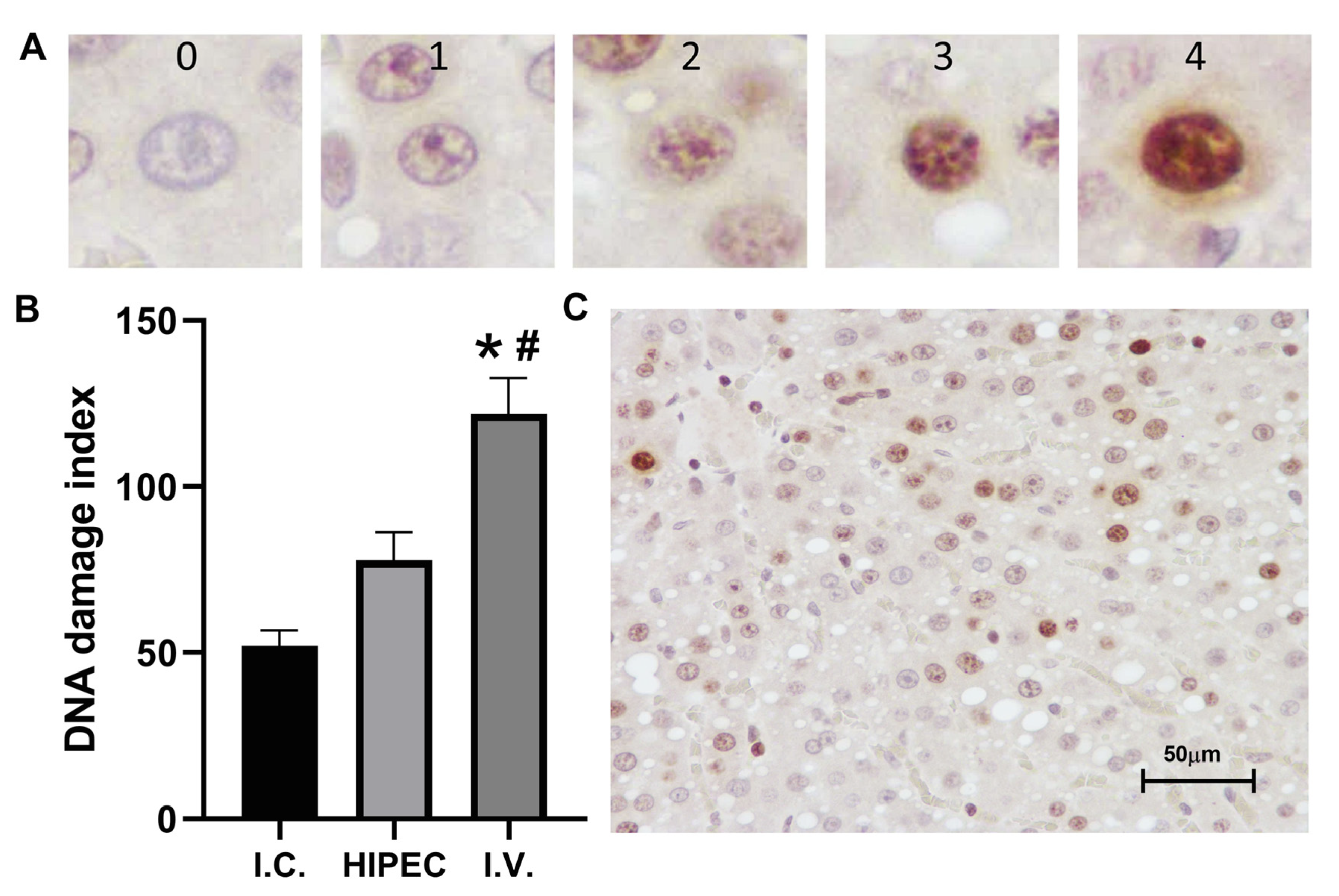 Molecules 25 04733 g004 Molecules 25 04733 g004
