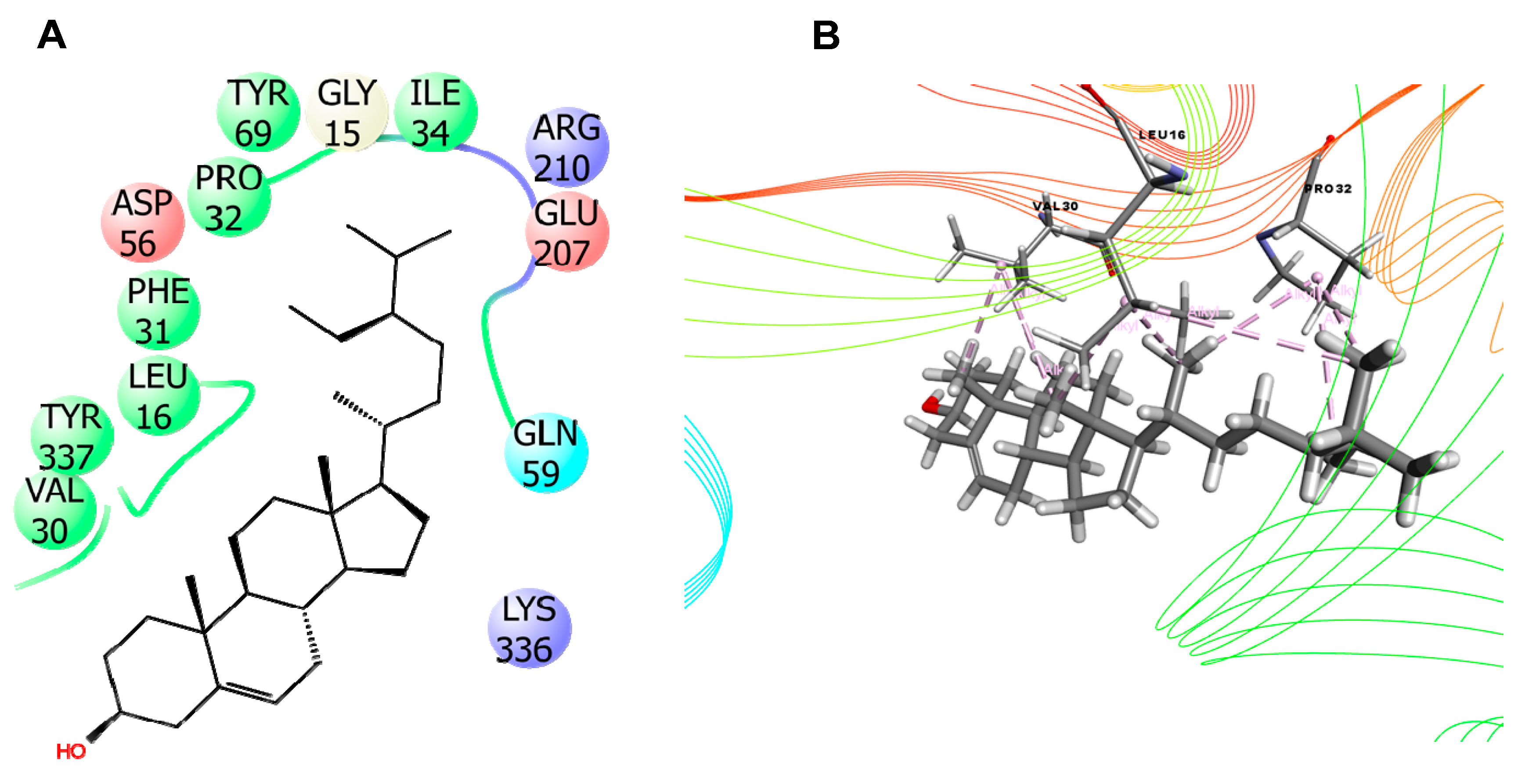 Molecules 25 04737 g007 Molecules 25 04737 g007