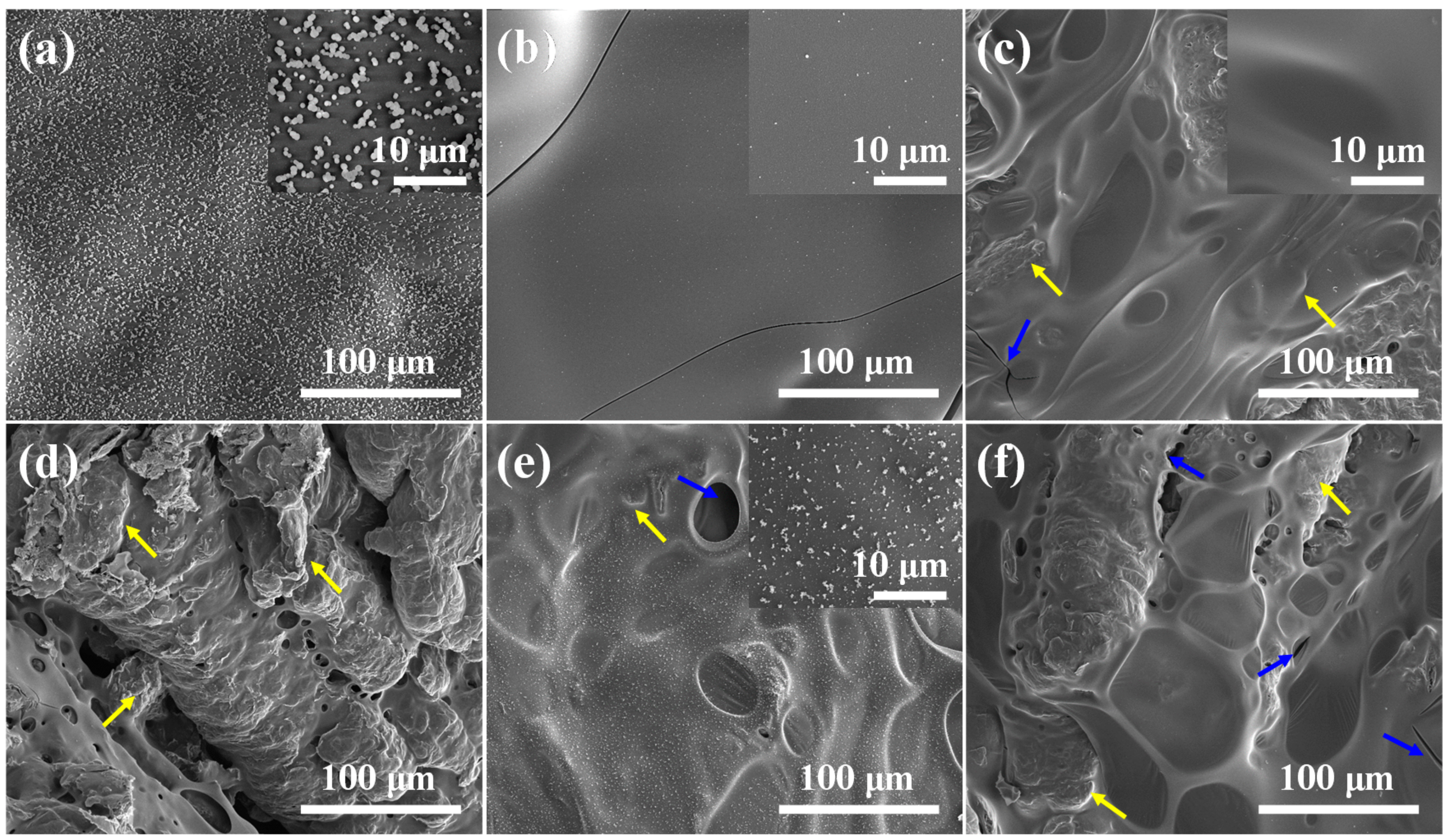 Molecules 25 04741 g005 Molecules 25 04741 g005