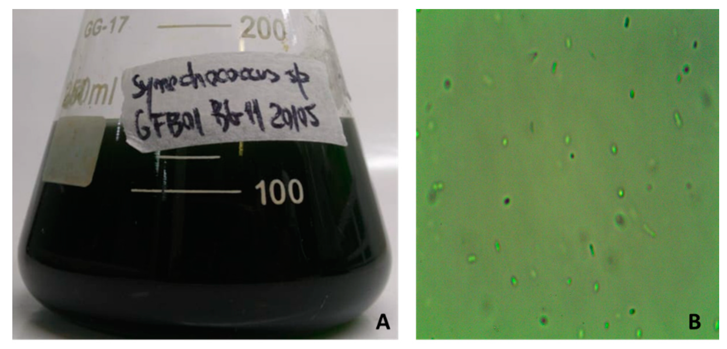 Molecules 25 04744 g001