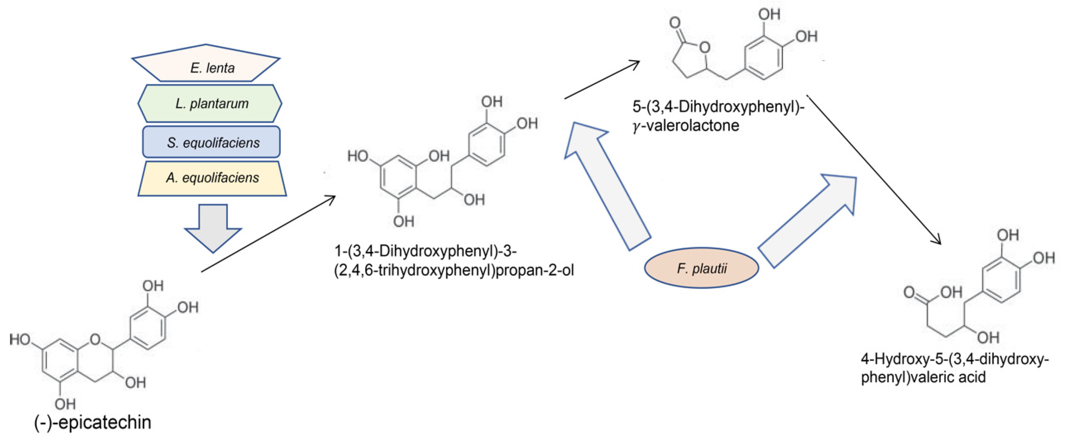 Molecules 25 04753 g001 Molecules 25 04753 g001