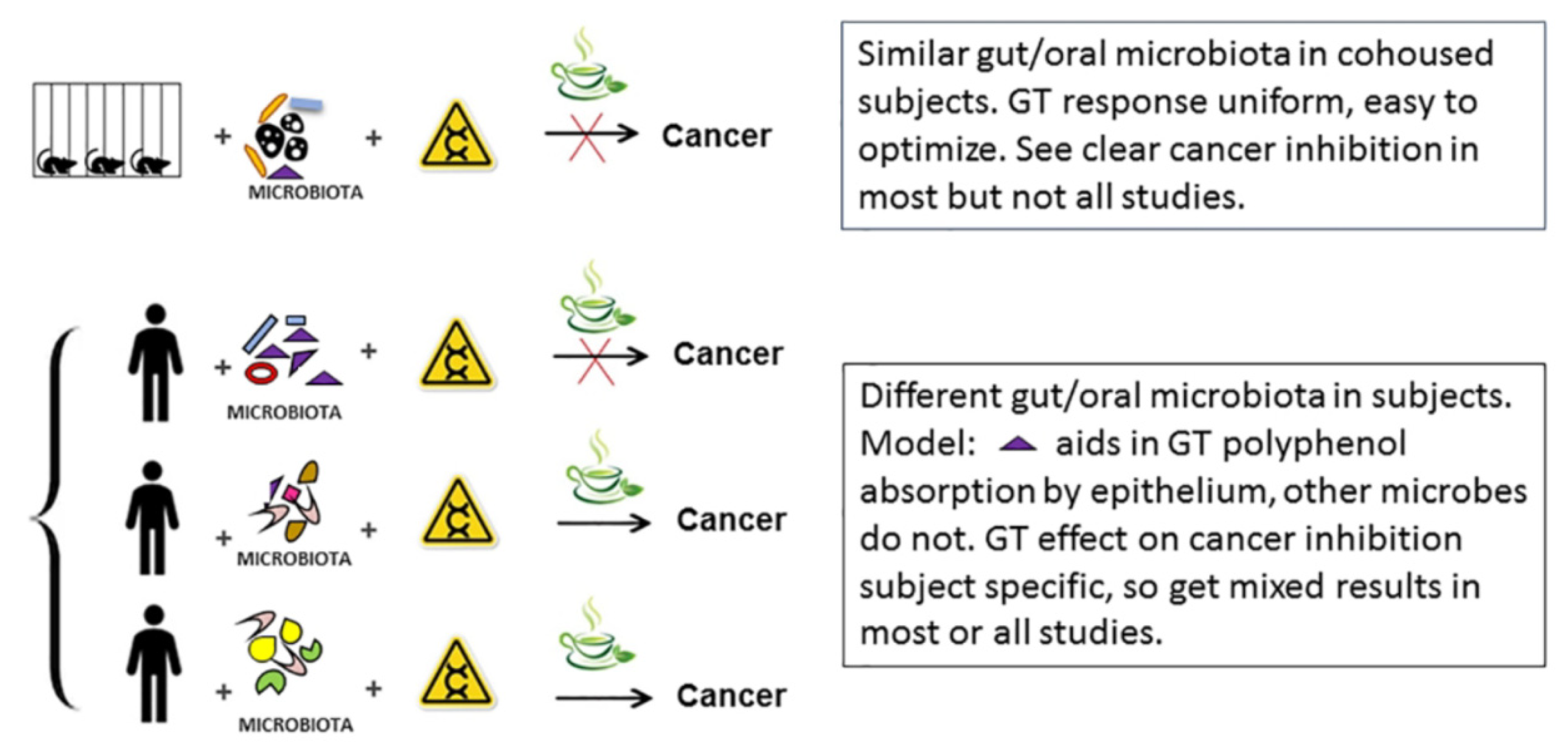 Molecules 25 04753 g002 Molecules 25 04753 g002