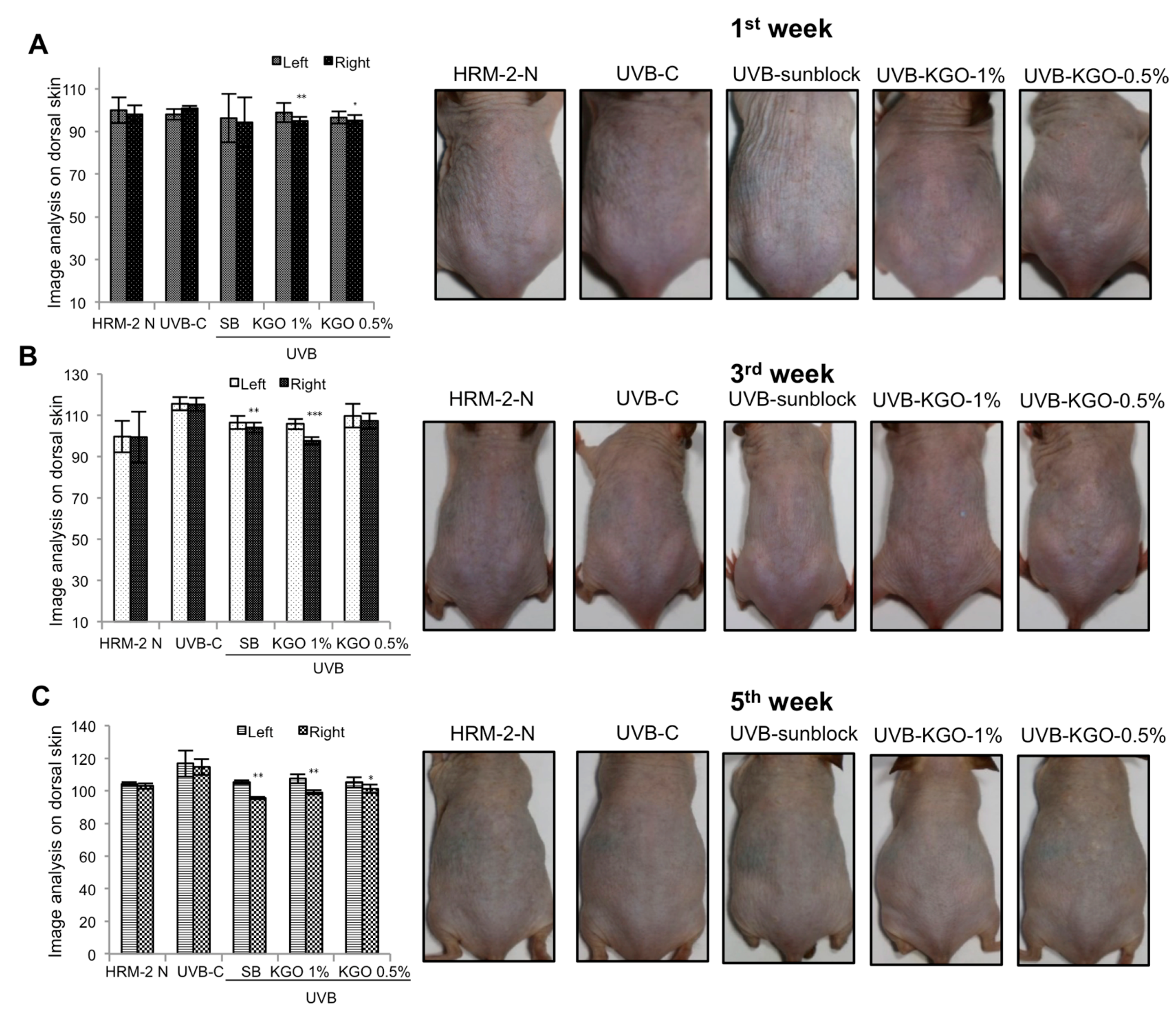 Molecules 25 04755 g005 Molecules 25 04755 g005