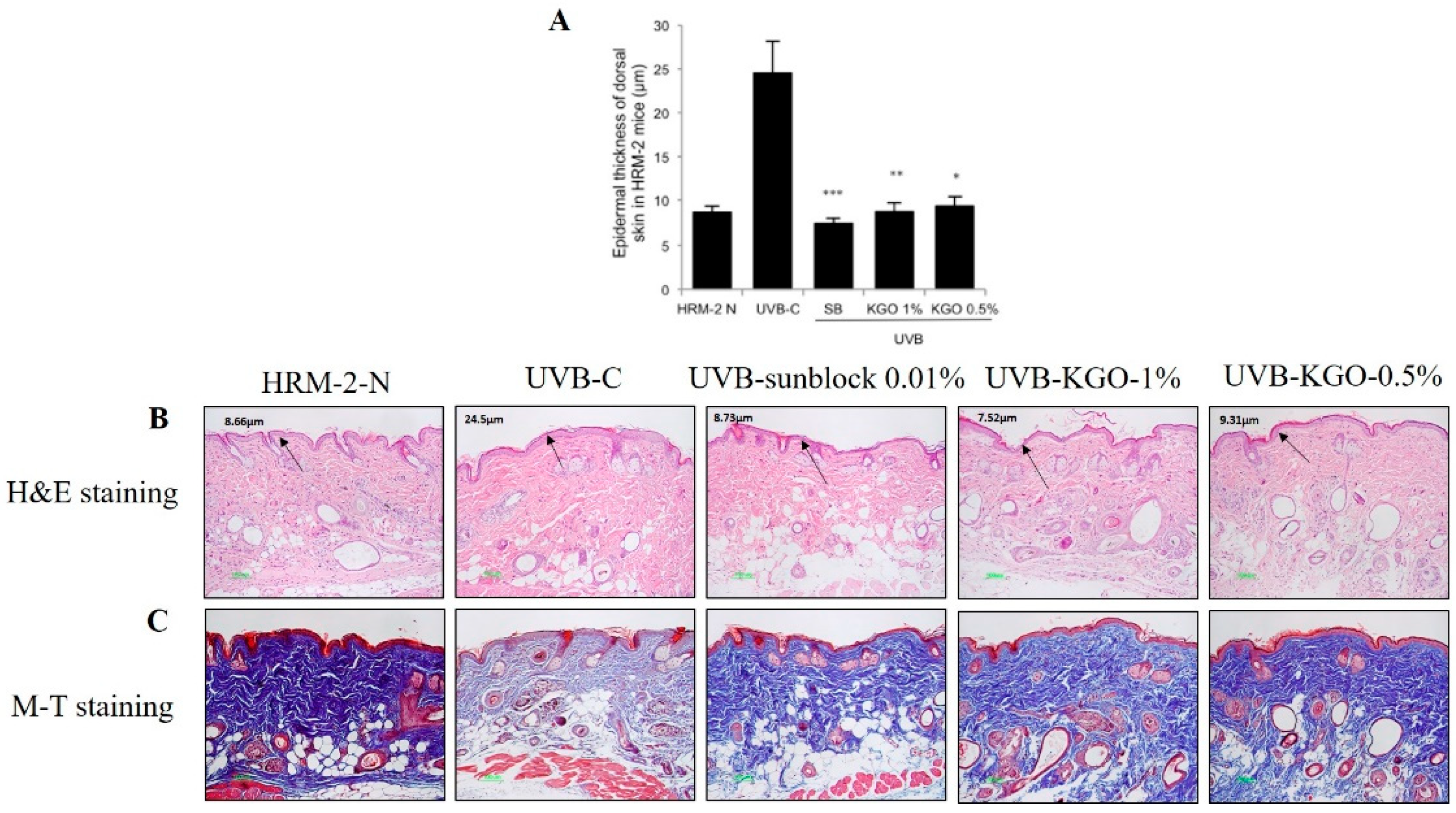 Molecules 25 04755 g007 Molecules 25 04755 g007