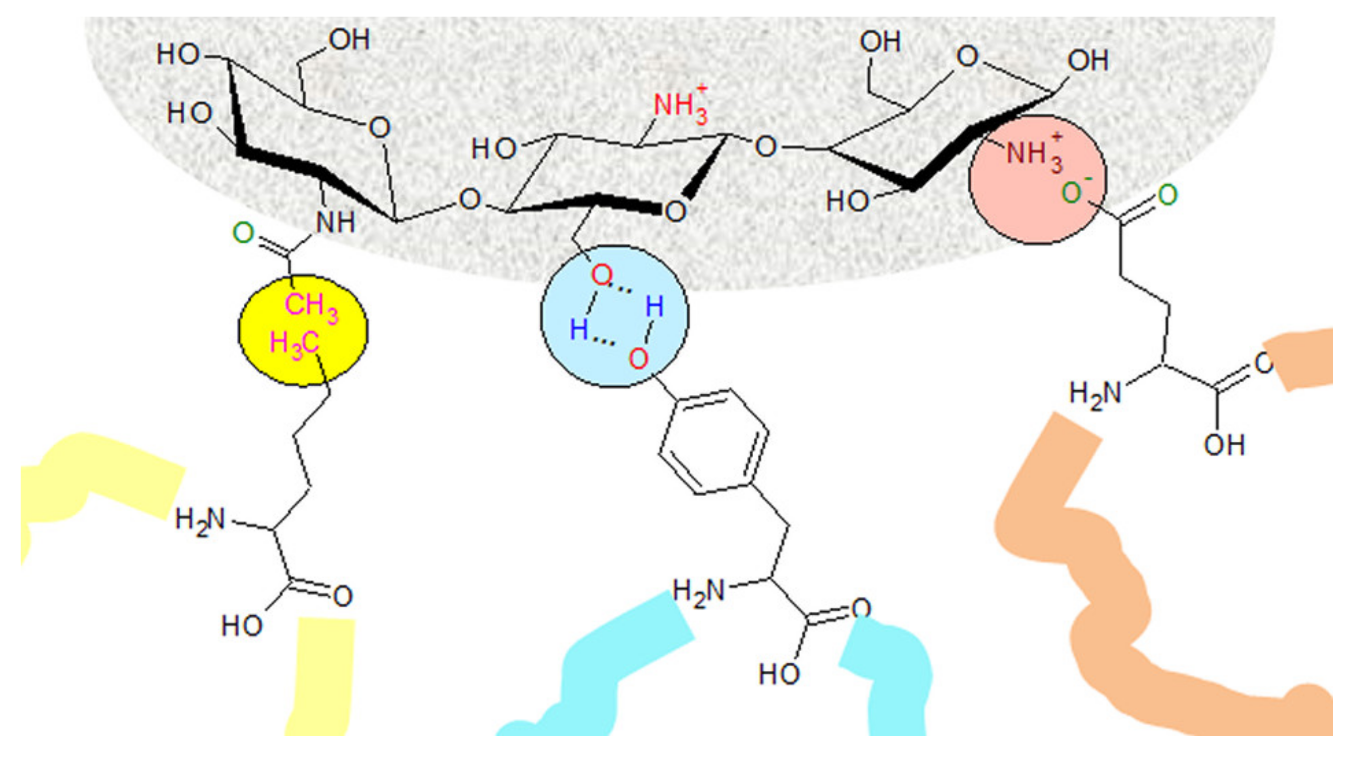 Molecules 25 04758 g005 Molecules 25 04758 g005