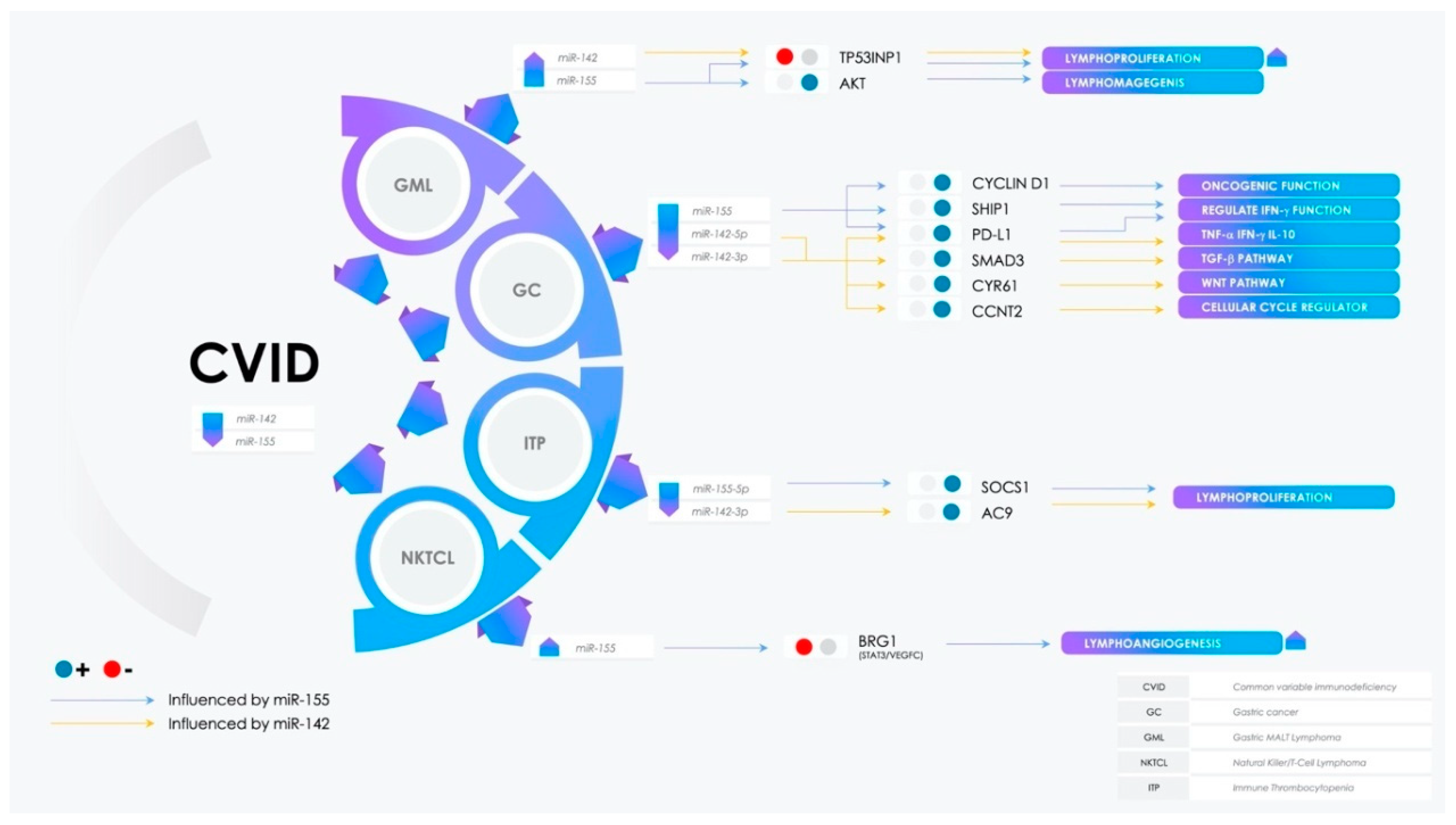 Molecules 25 04760 g003 Molecules 25 04760 g003