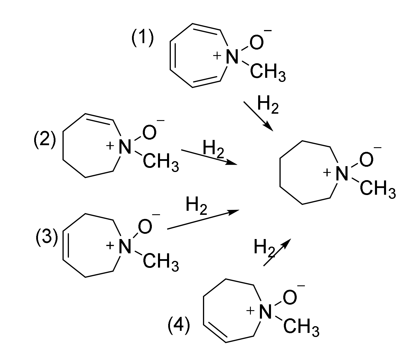Molecules 25 04767 sch006 Molecules 25 04767 sch006