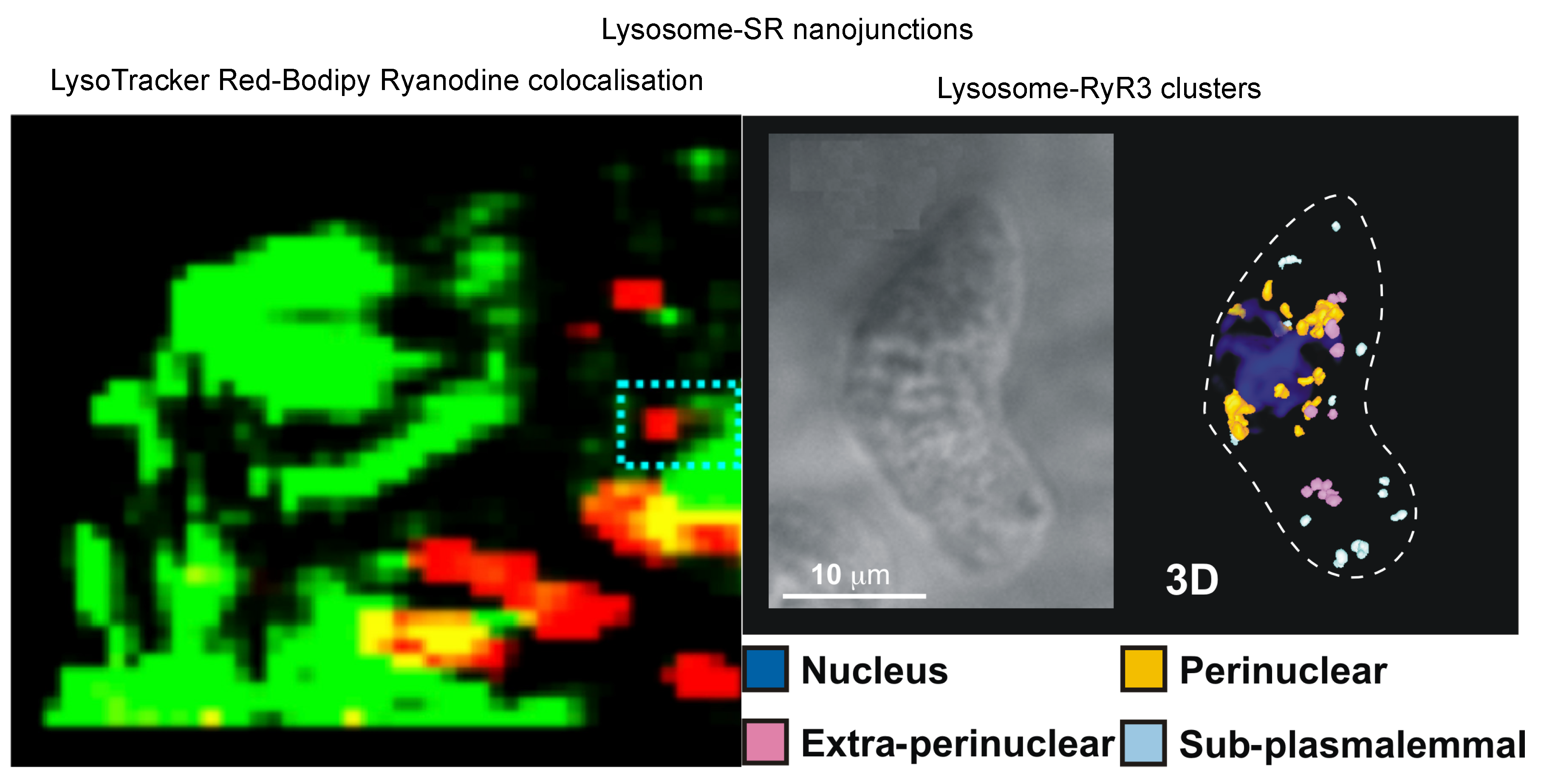 Molecules 25 04768 g009