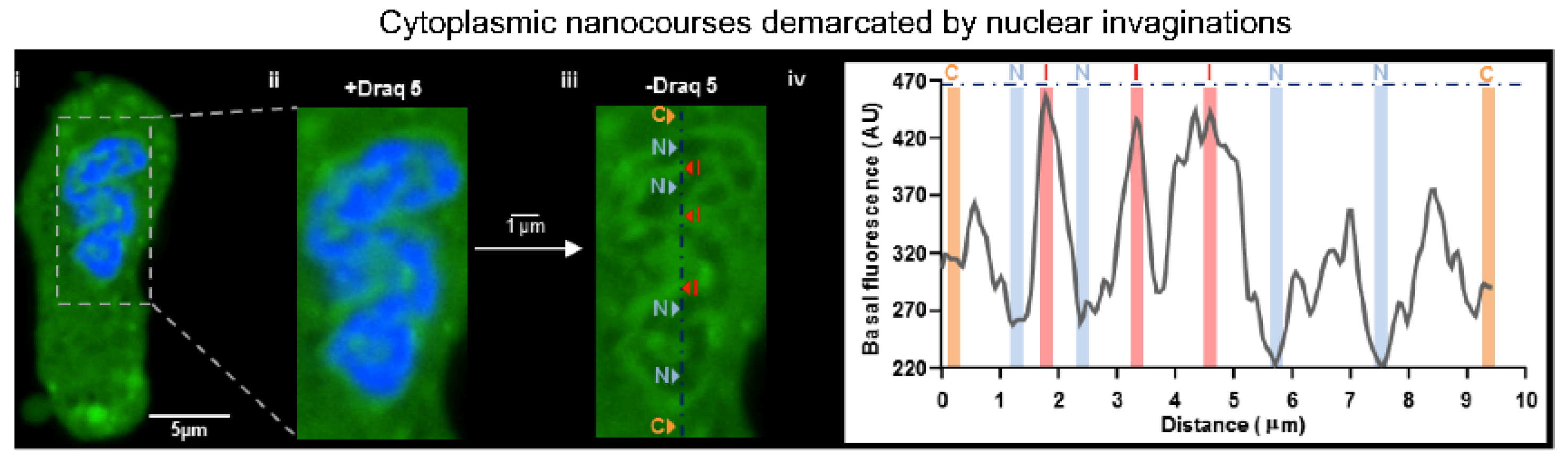 Molecules 25 04768 g012