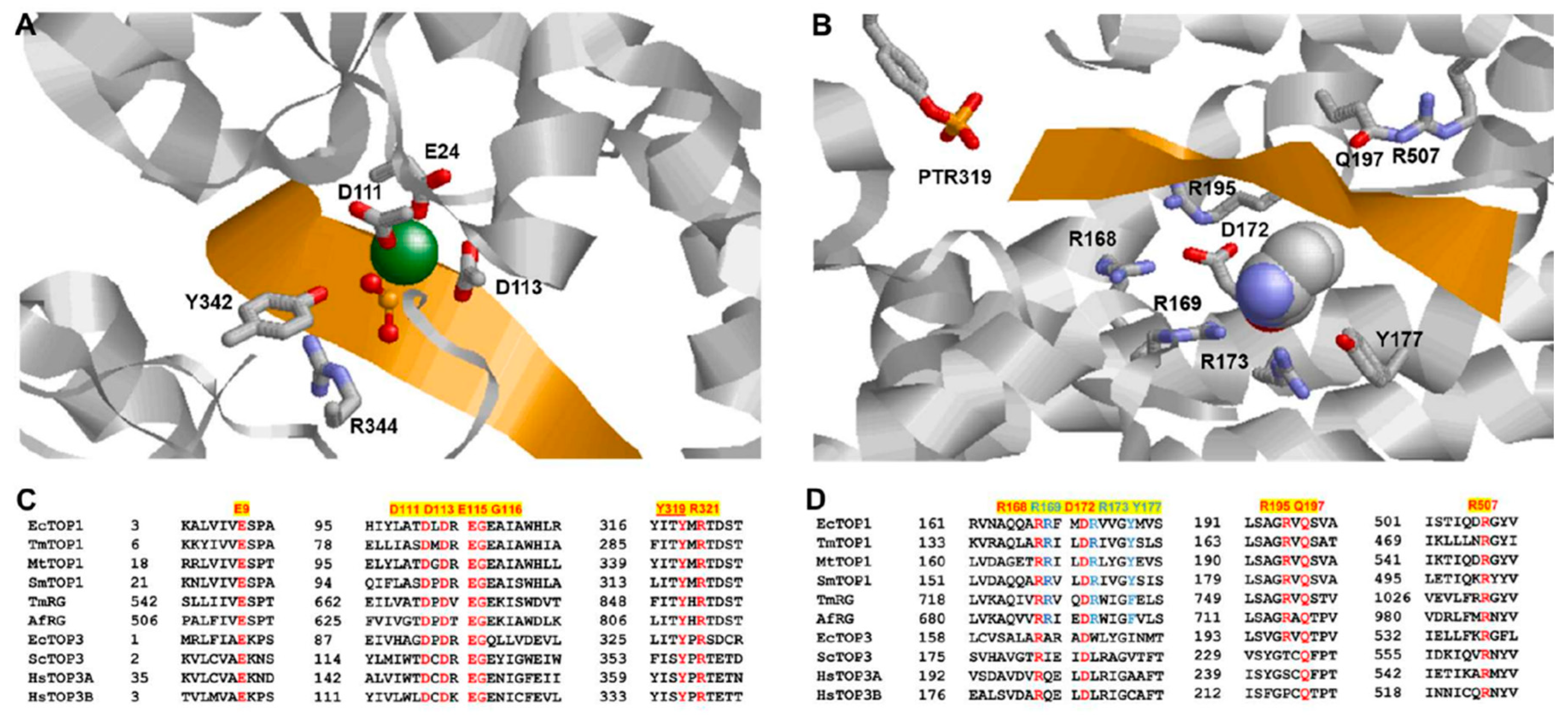 Molecules 25 04769 g003 Molecules 25 04769 g003
