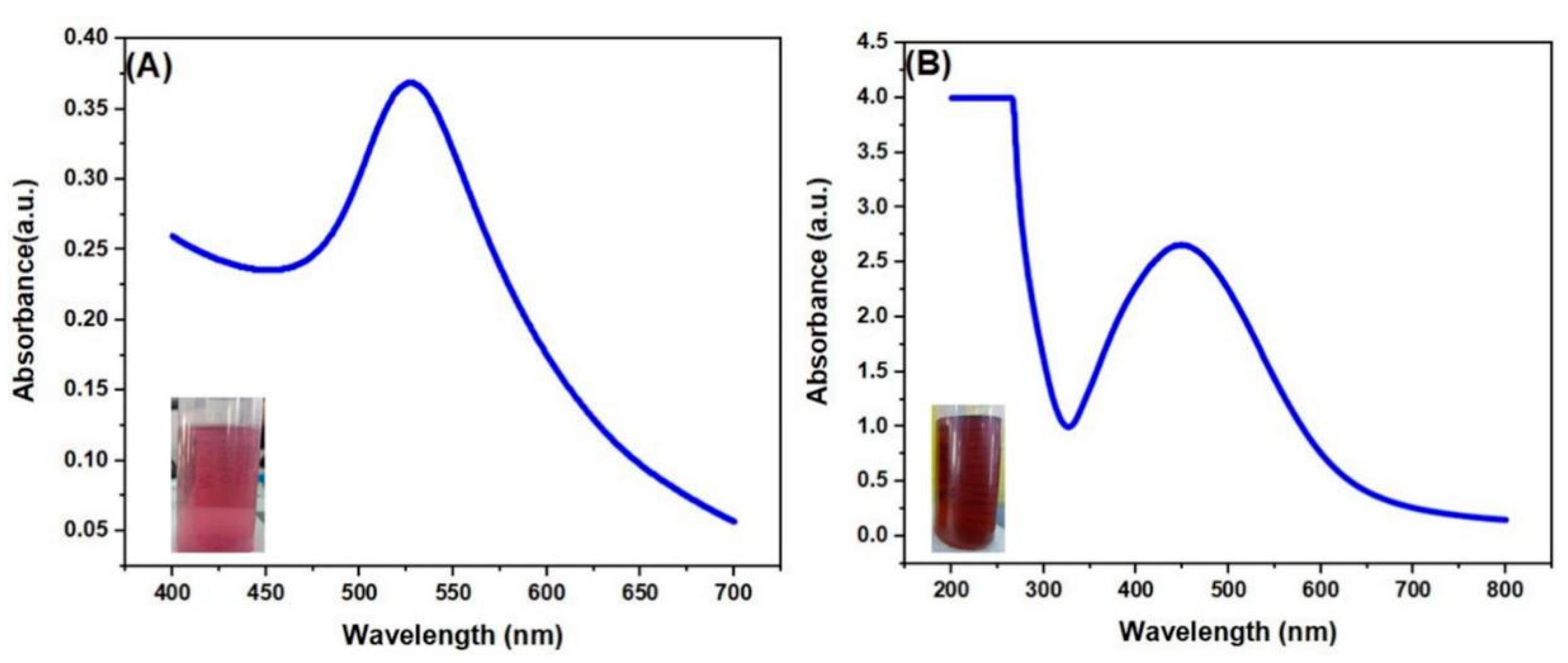 Molecules 25 04773 g001 Molecules 25 04773 g001