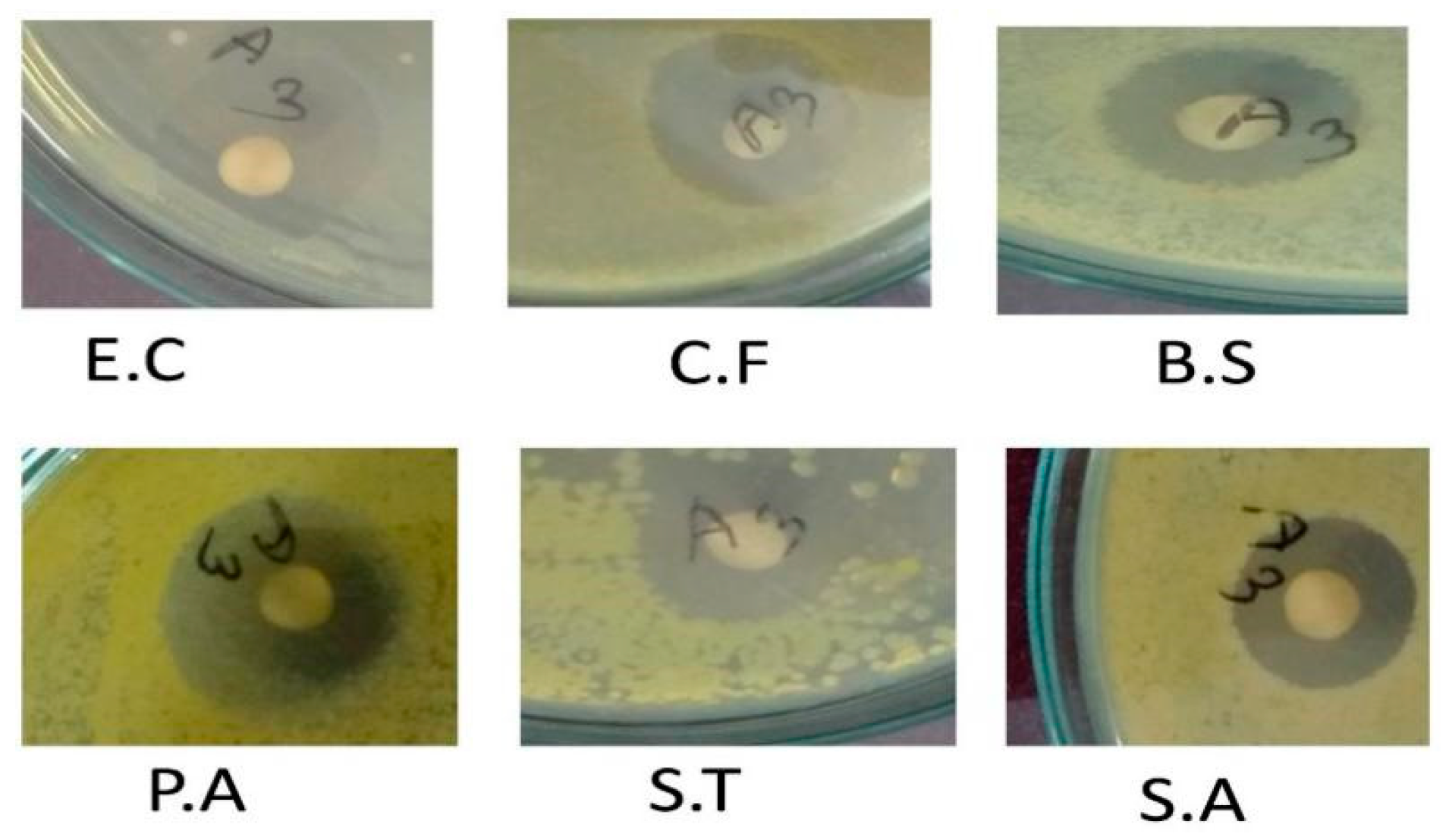 Molecules 25 04773 g005 Molecules 25 04773 g005