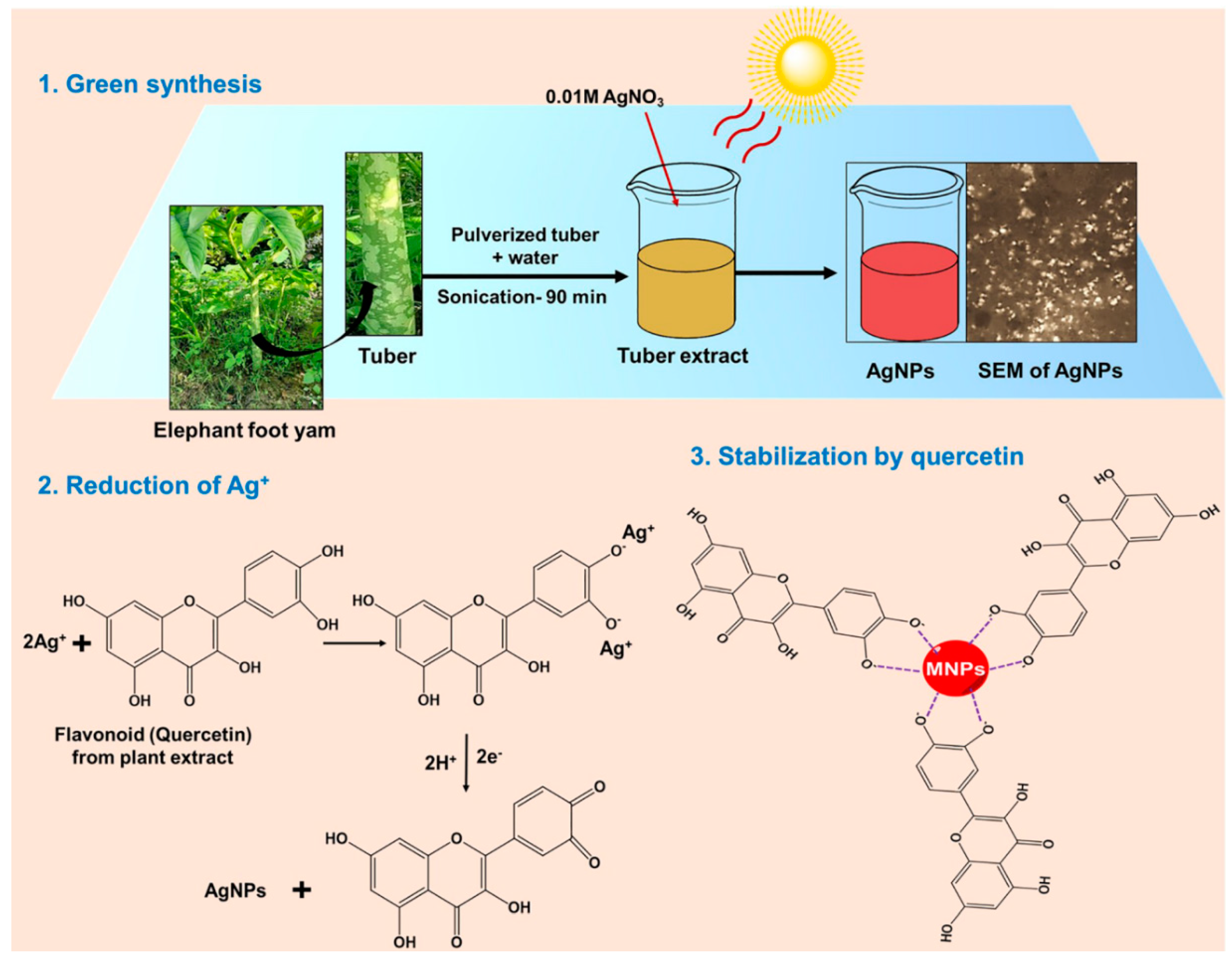 Molecules 25 04773 sch001 Molecules 25 04773 sch001