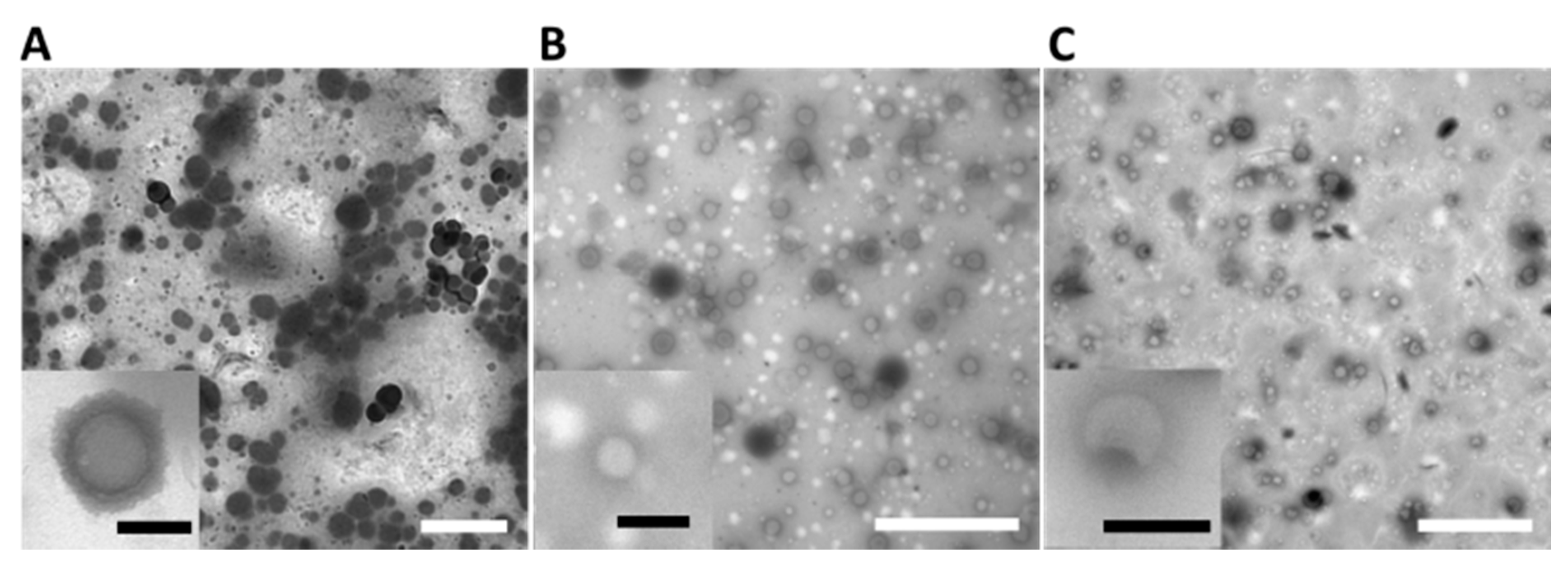 Molecules 25 04774 g007 Molecules 25 04774 g007