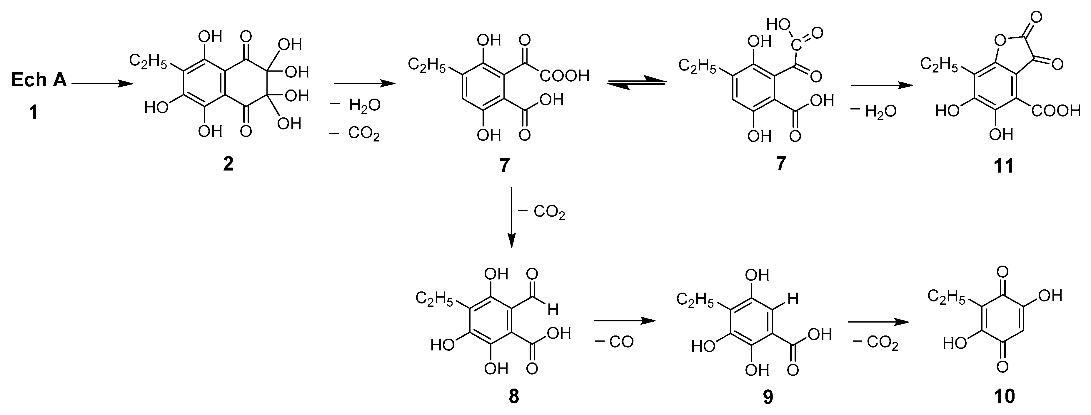Molecules 25 04778 g008 Molecules 25 04778 g008