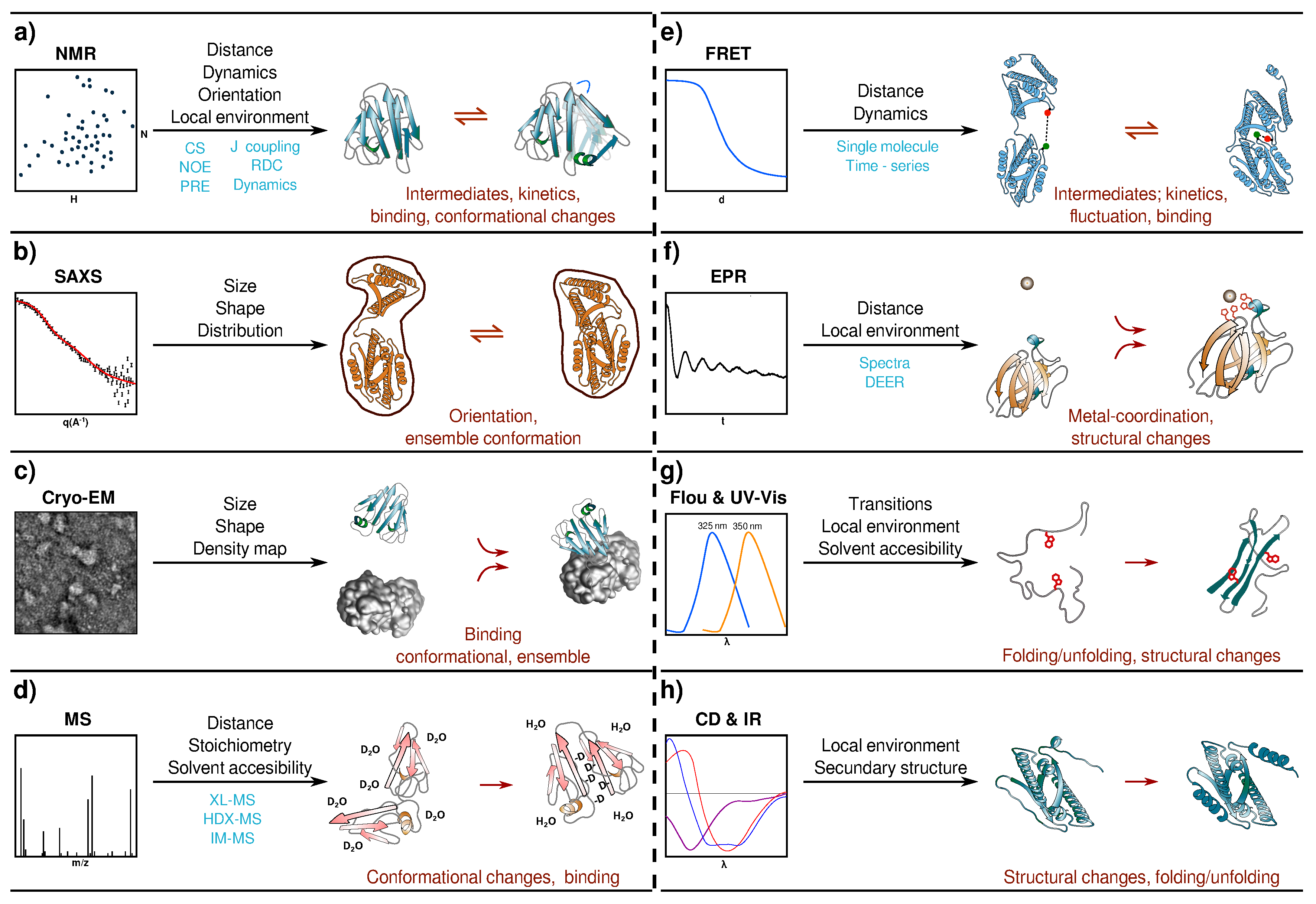 Molecules 25 04783 g003 Molecules 25 04783 g003