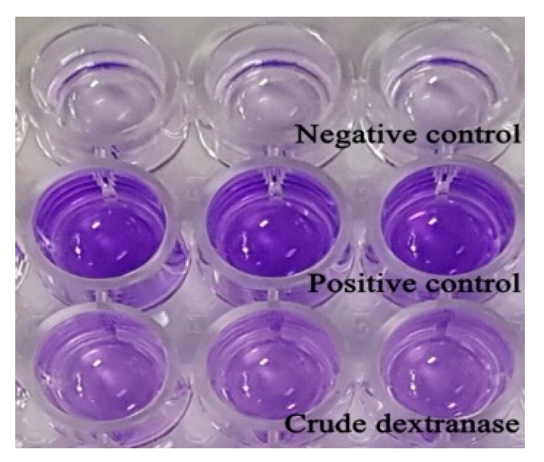 Molecules 25 04784 g0a3