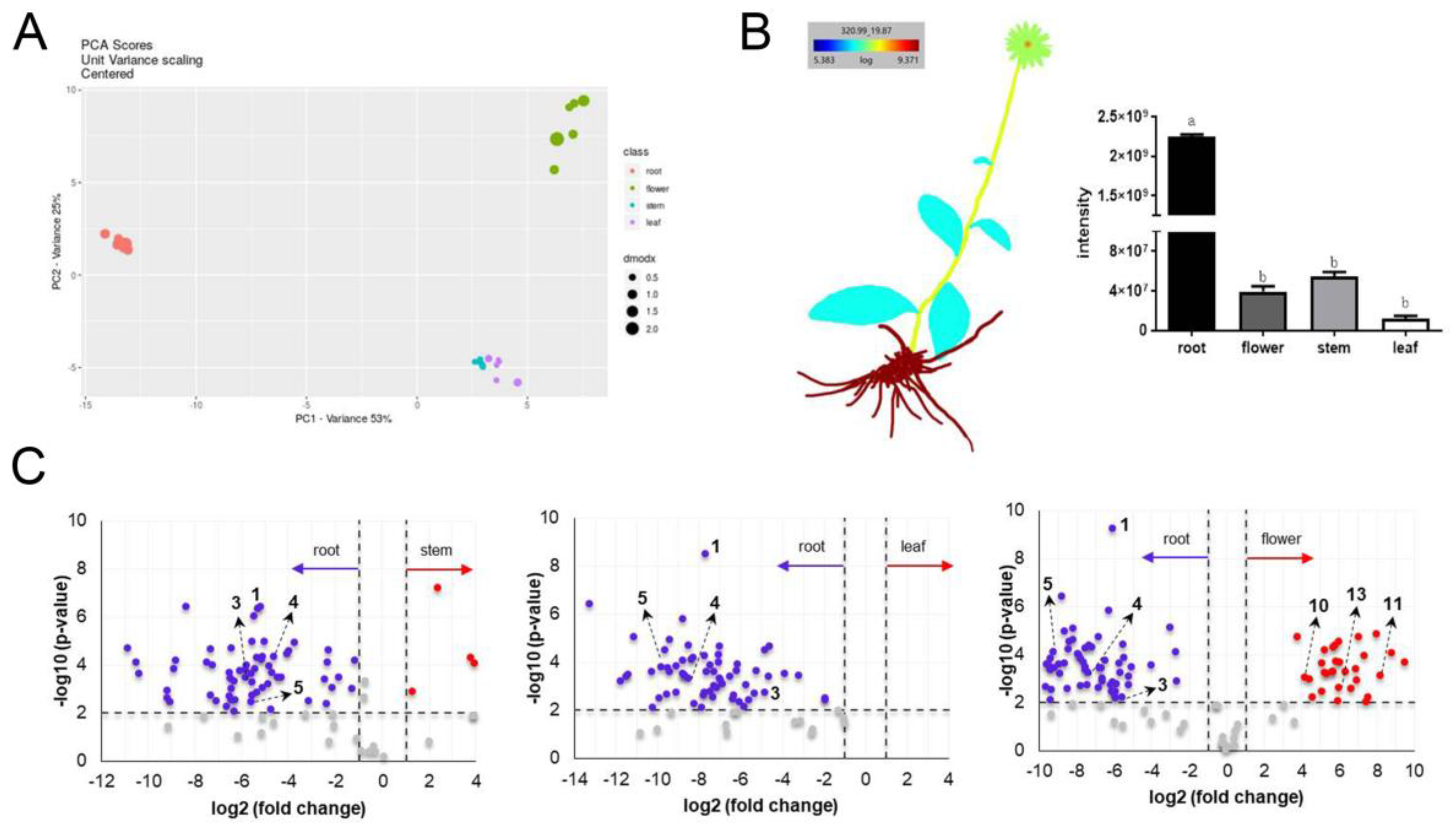 Molecules 25 04789 g002 Molecules 25 04789 g002