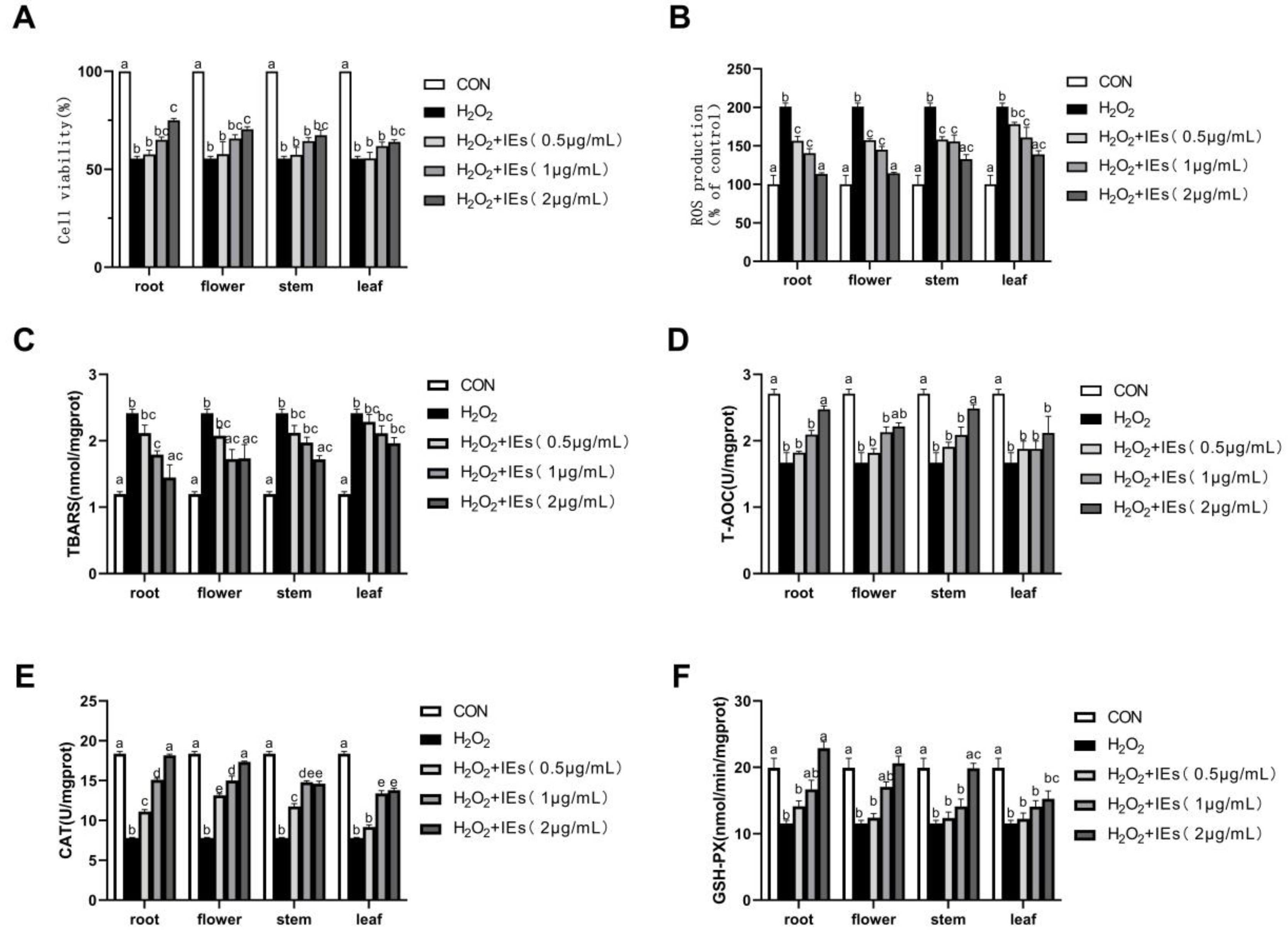 Molecules 25 04789 g004 Molecules 25 04789 g004