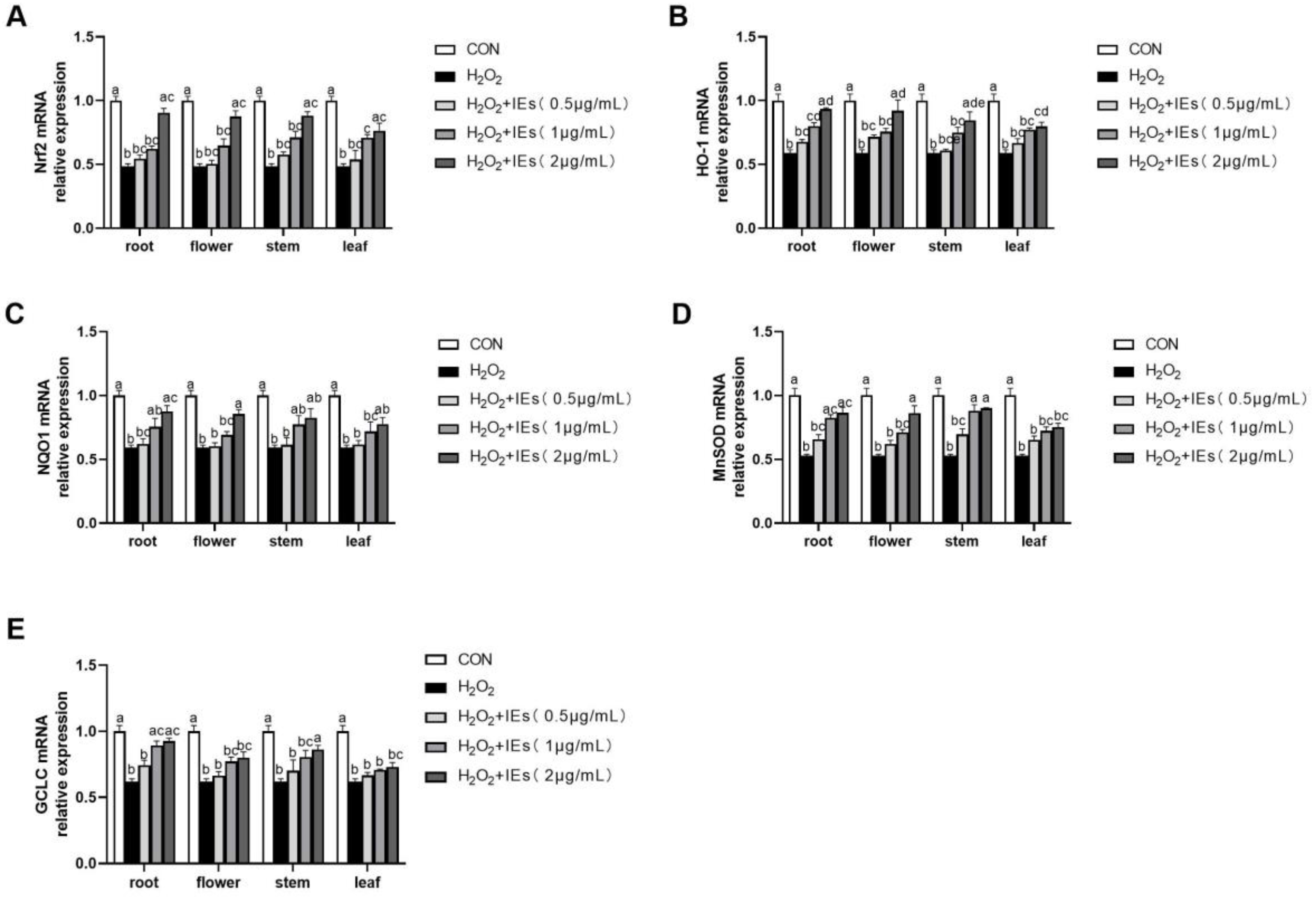 Molecules 25 04789 g005 Molecules 25 04789 g005
