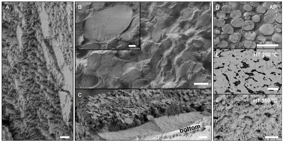 Molecules 25 04790 g001