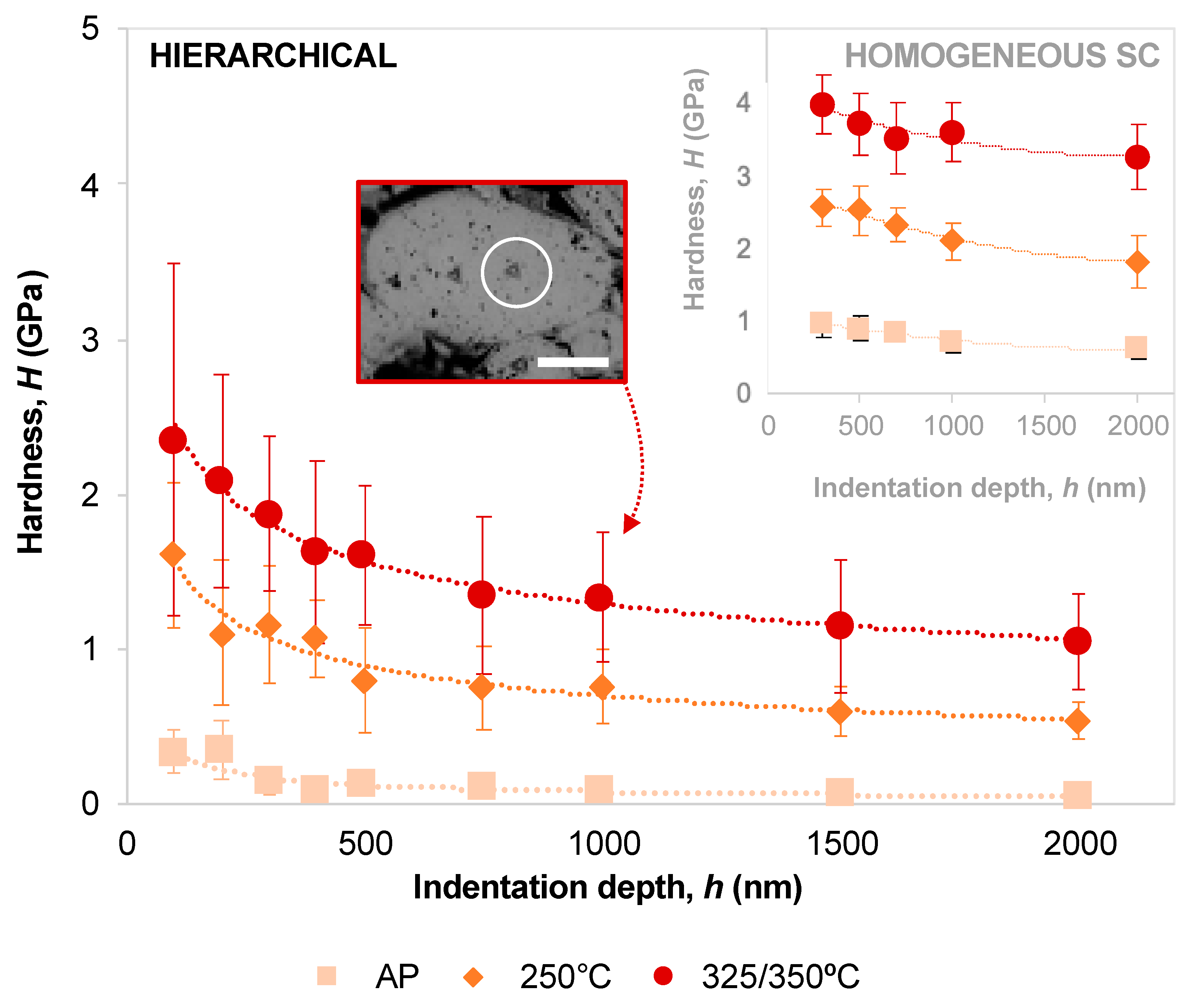 Molecules 25 04790 g002