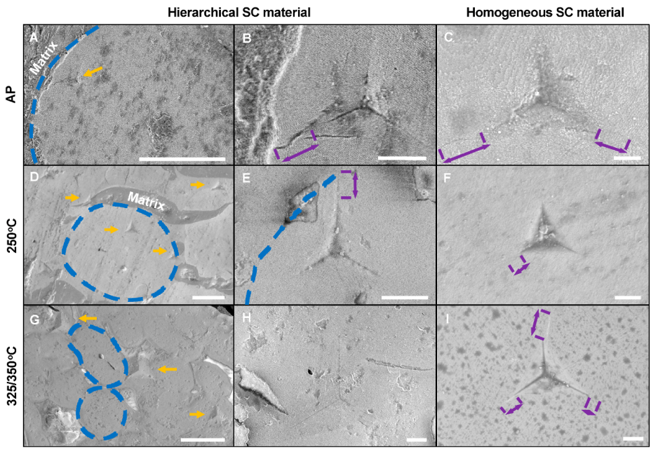 Molecules 25 04790 g004